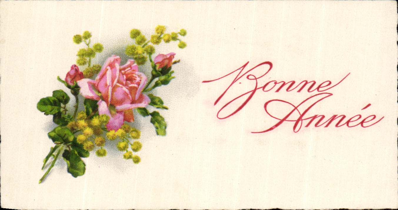 CPA Fantaisie Bonne Heureuse Annee