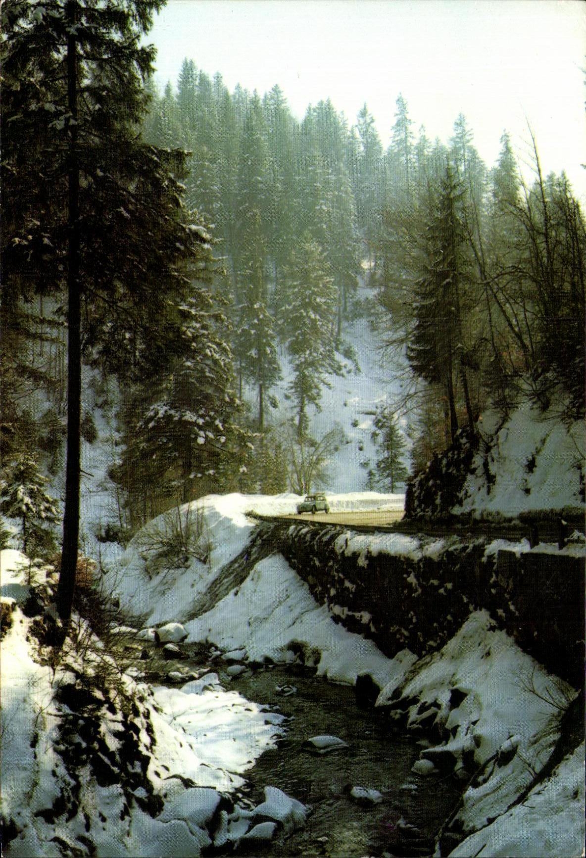 MODERN CARD the road of the collar