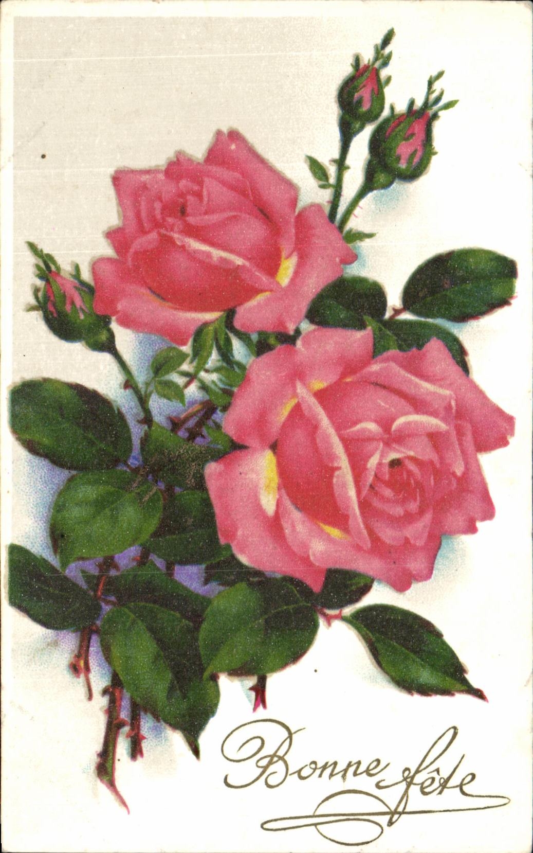 La fantasia de CPA florece rosas