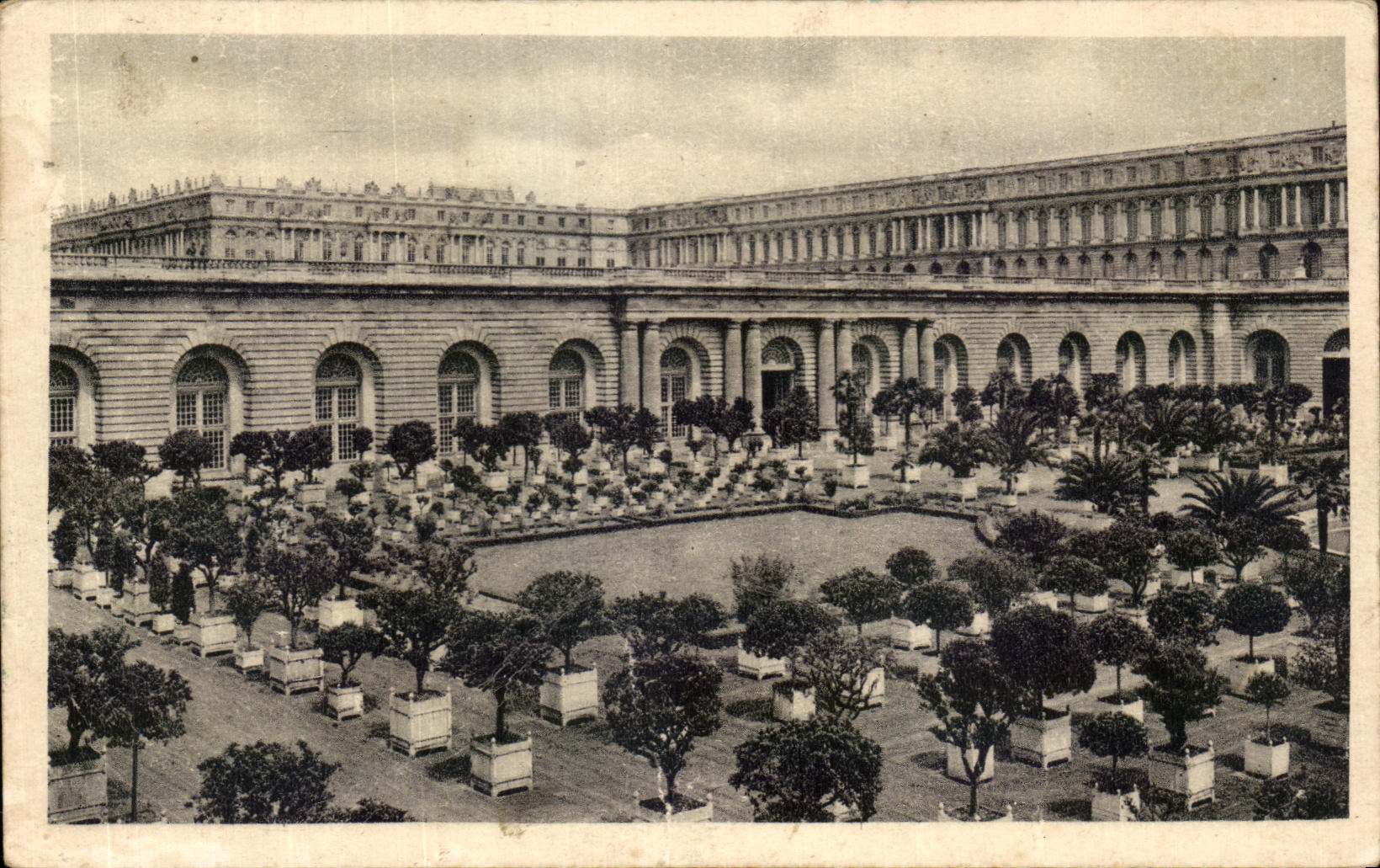 CPA Parc De Versailles L'Orangerie