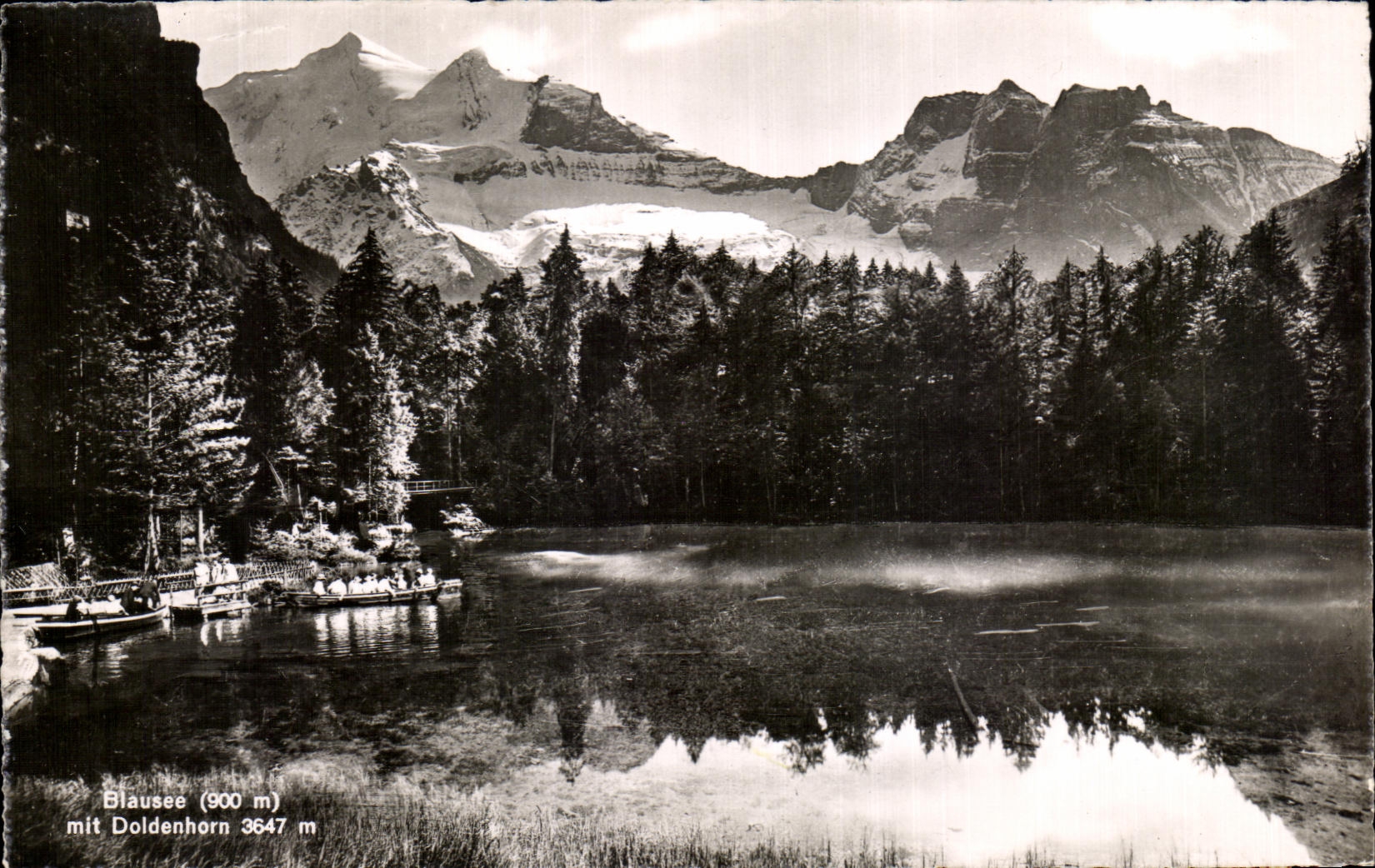 CPA Blausee Mit Doldehnorn