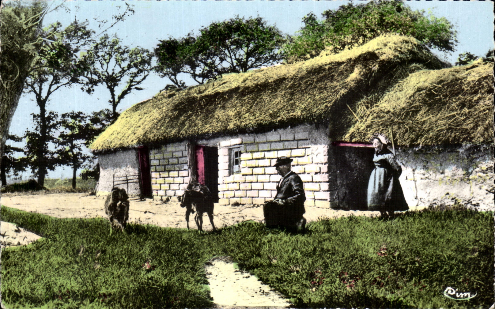 Visiones de CPA en el Vendee con el pais Bourine de Maraichin en las cabras de los pantanos