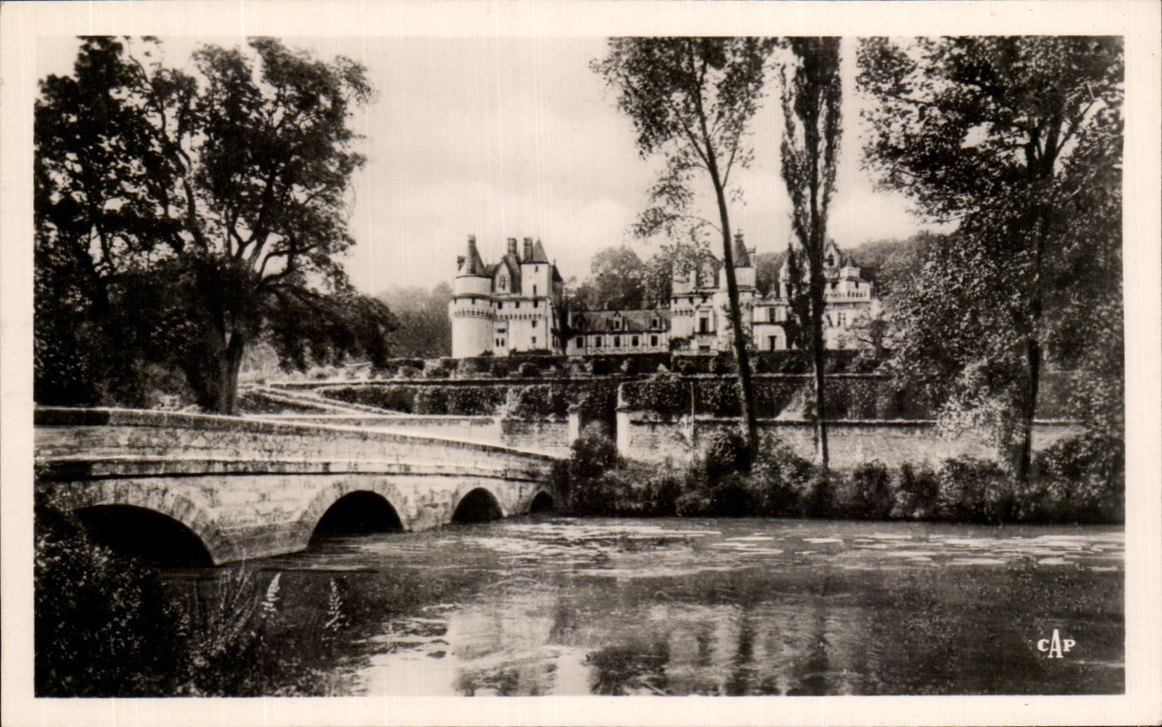 CPA Rigny Usse Le Chateau Et l'Indre