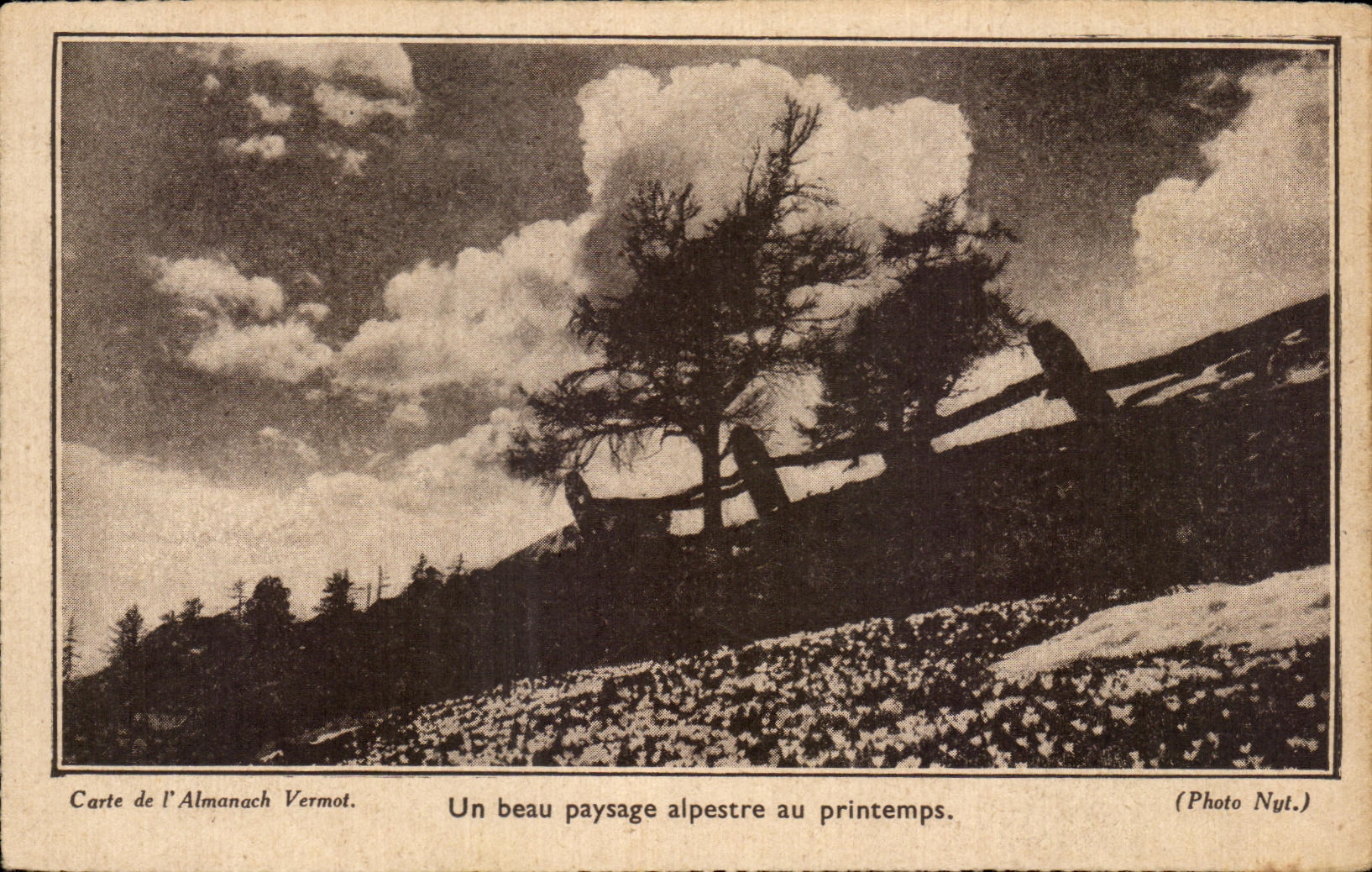 CPA un paisaje alpestre hermoso en resorte