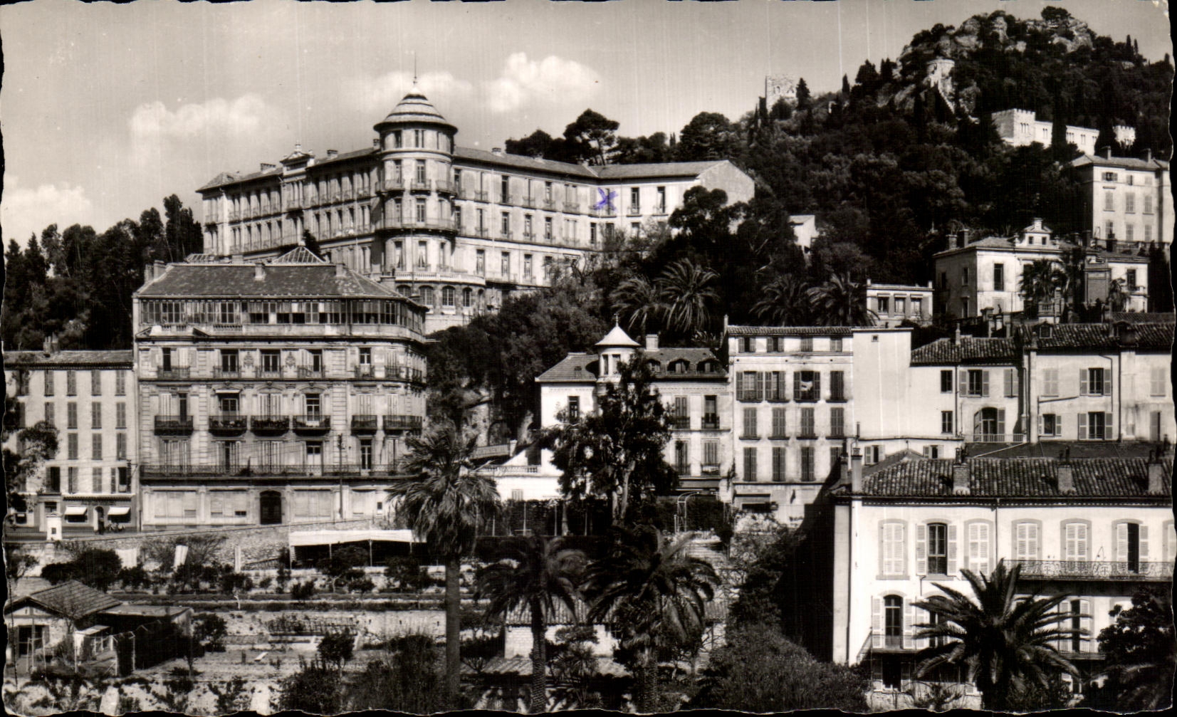 CPSM Le Littoral Mediterraneen Hyeres Les Palmiers Hotel Continental