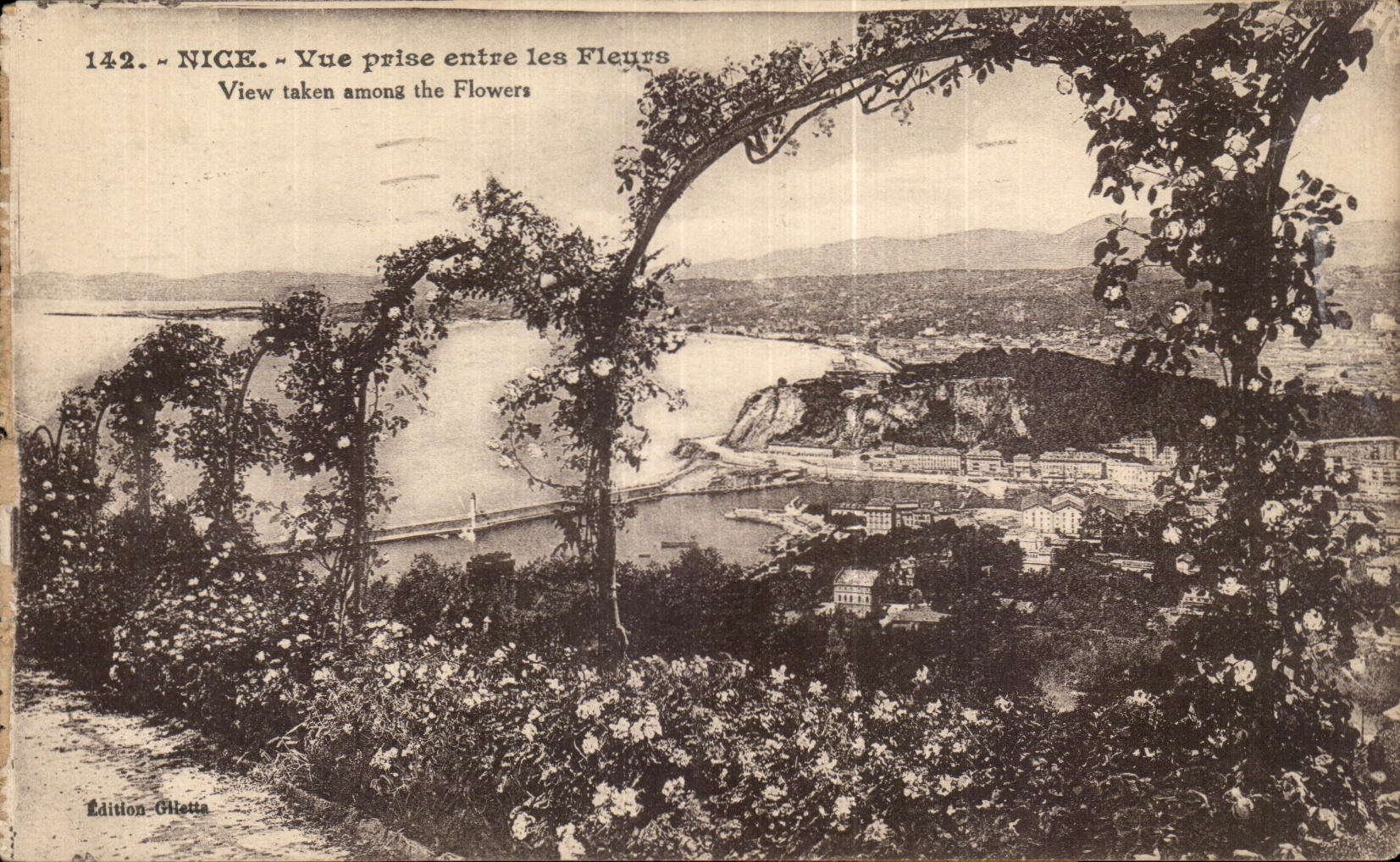 Niza de CPA vista entre de las flores