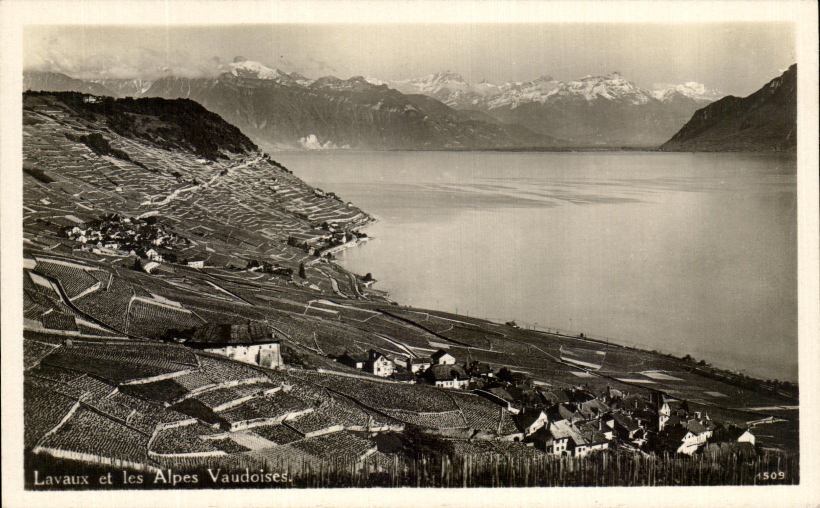 CPA Lavaux et les Alpes Vaudoises