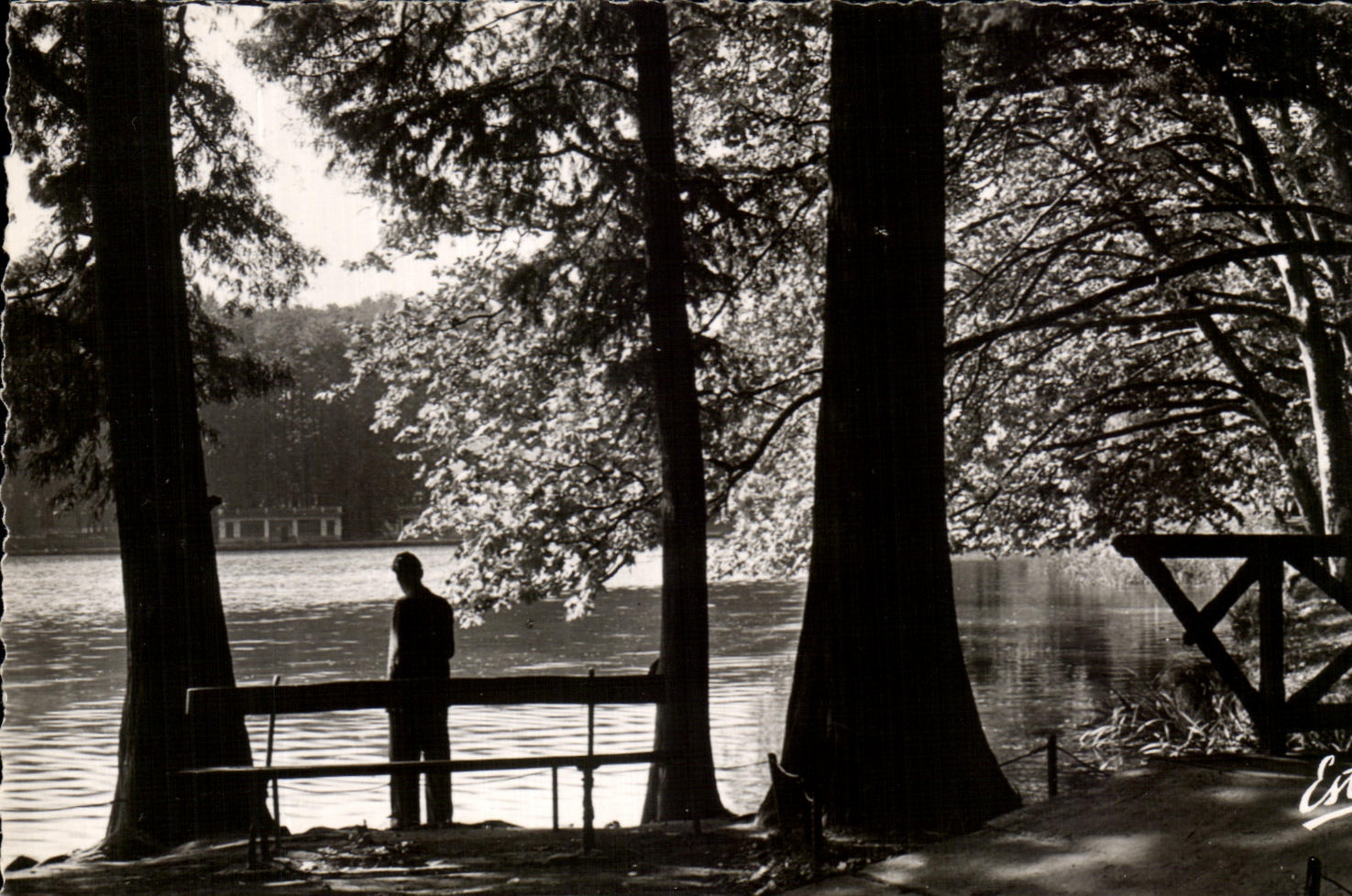 CPA Lyon Park of the Gold Edges Head of the Lake