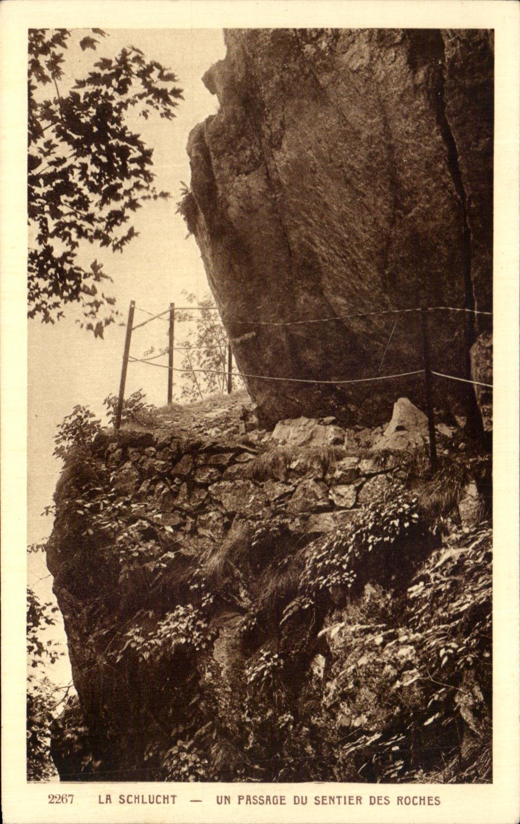 CPA Schlucht a Passage Of the Path Of the Rocks