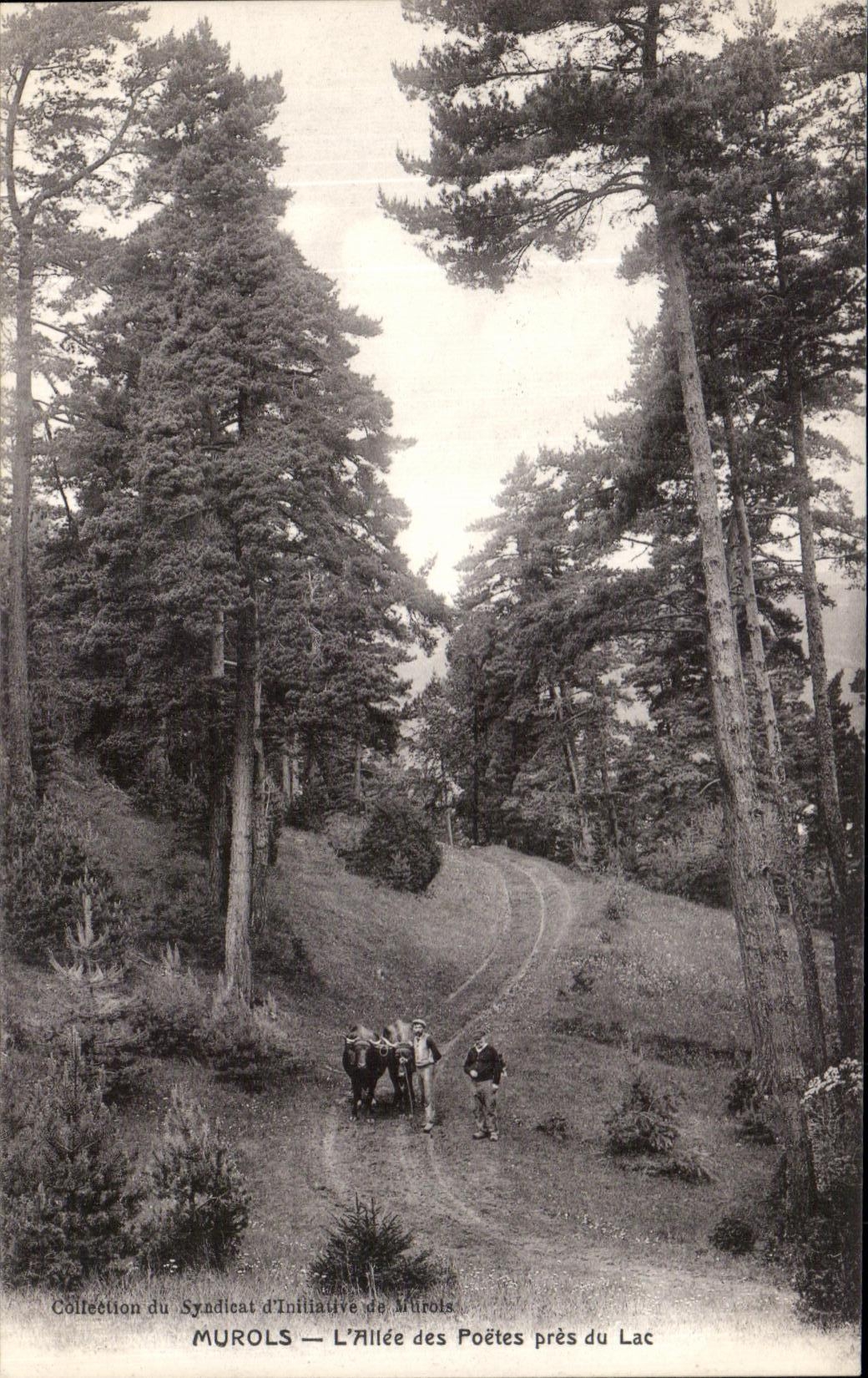 CPA Murols Allee of the Poets close to the Lake Coach Oxen