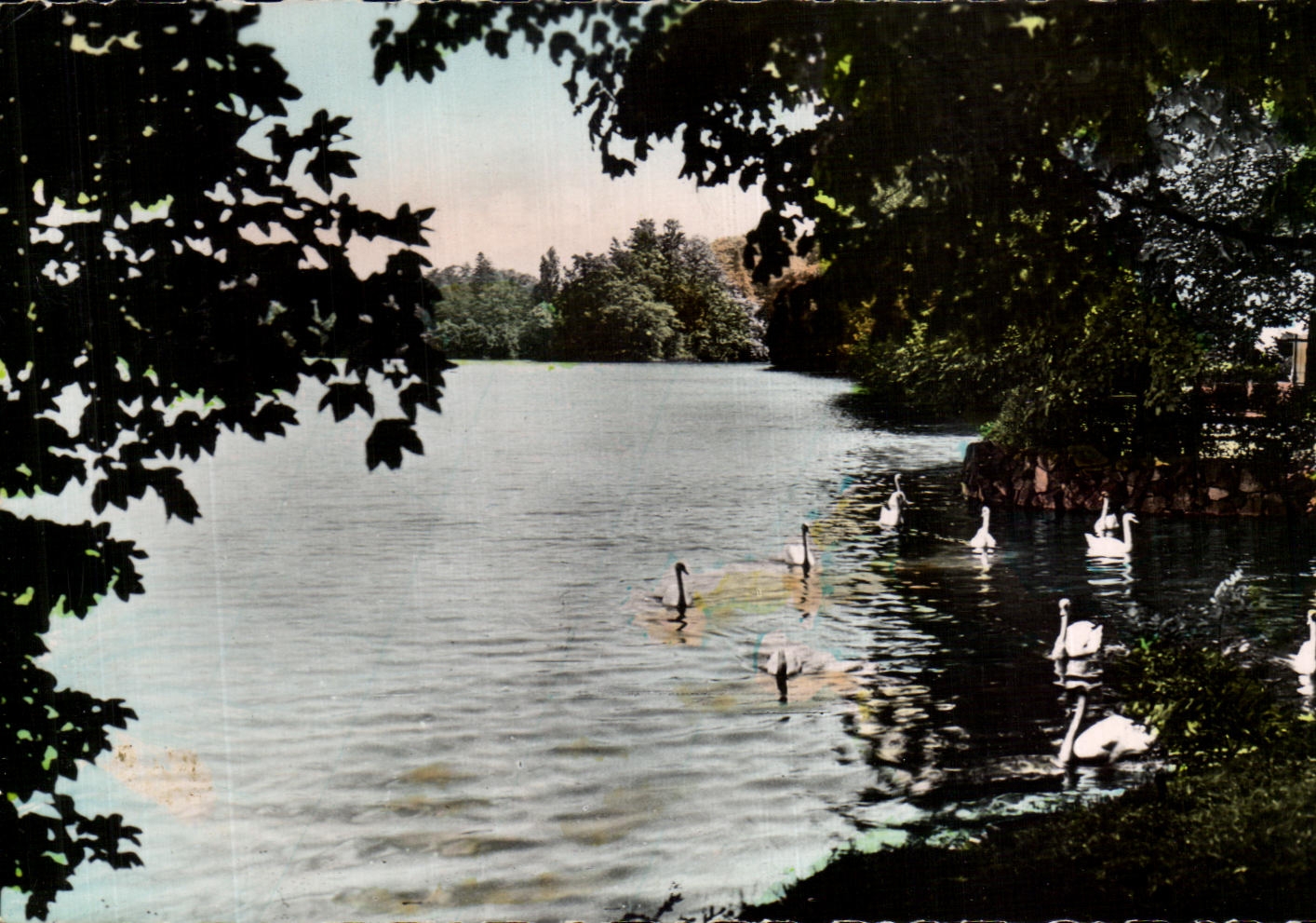 CPA Lyon Park of the gold Head Swans