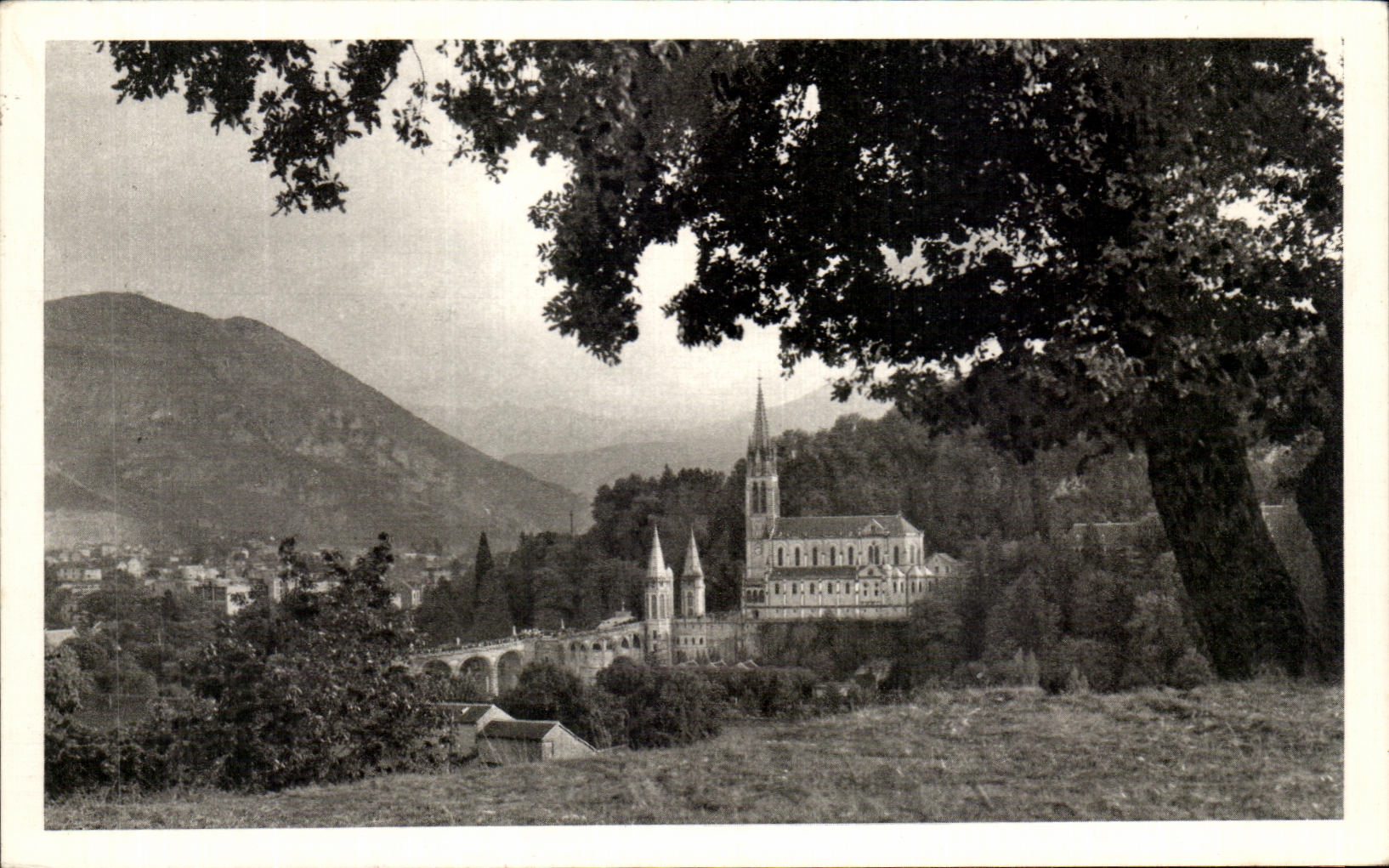 CPA Lourdes Bailique and the Peak of Jer