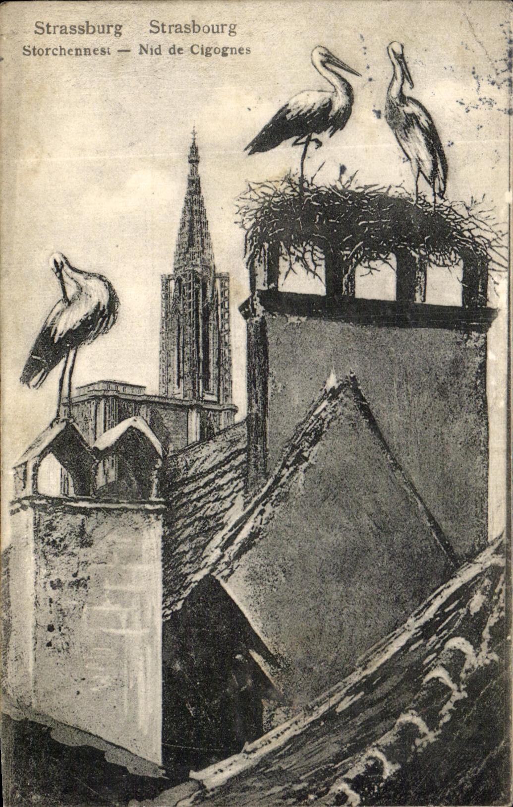 CPA Strasbourg Nest of Storks
