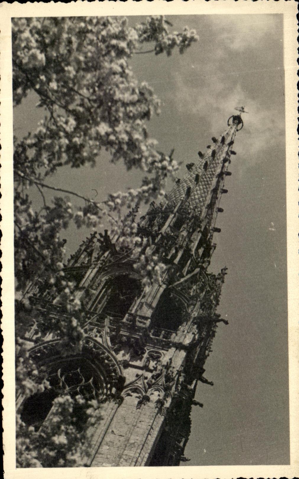 CPA Chartres Cathedral 1950