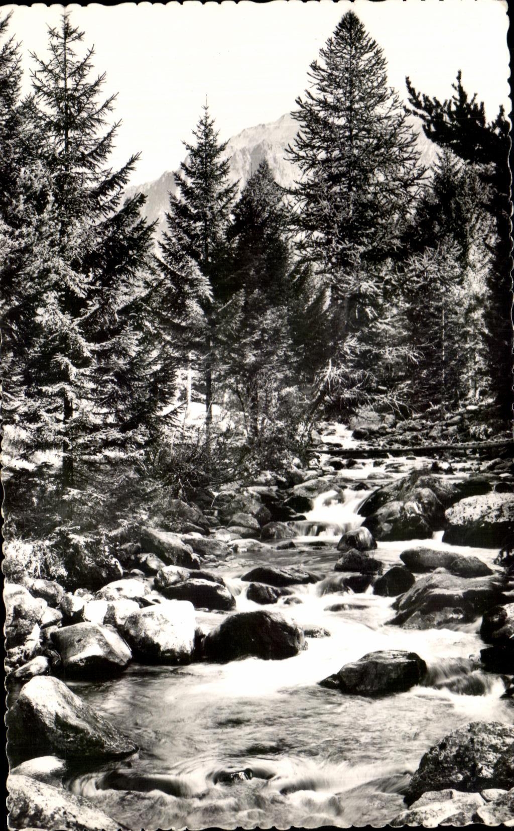 CPA San Martin Vesubie Suiza Nicoise Boreon