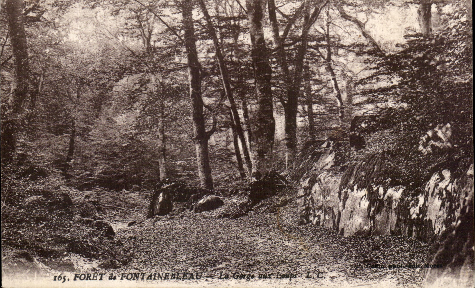 CPA Drill of Fontainebleau the Throat to the Wolves