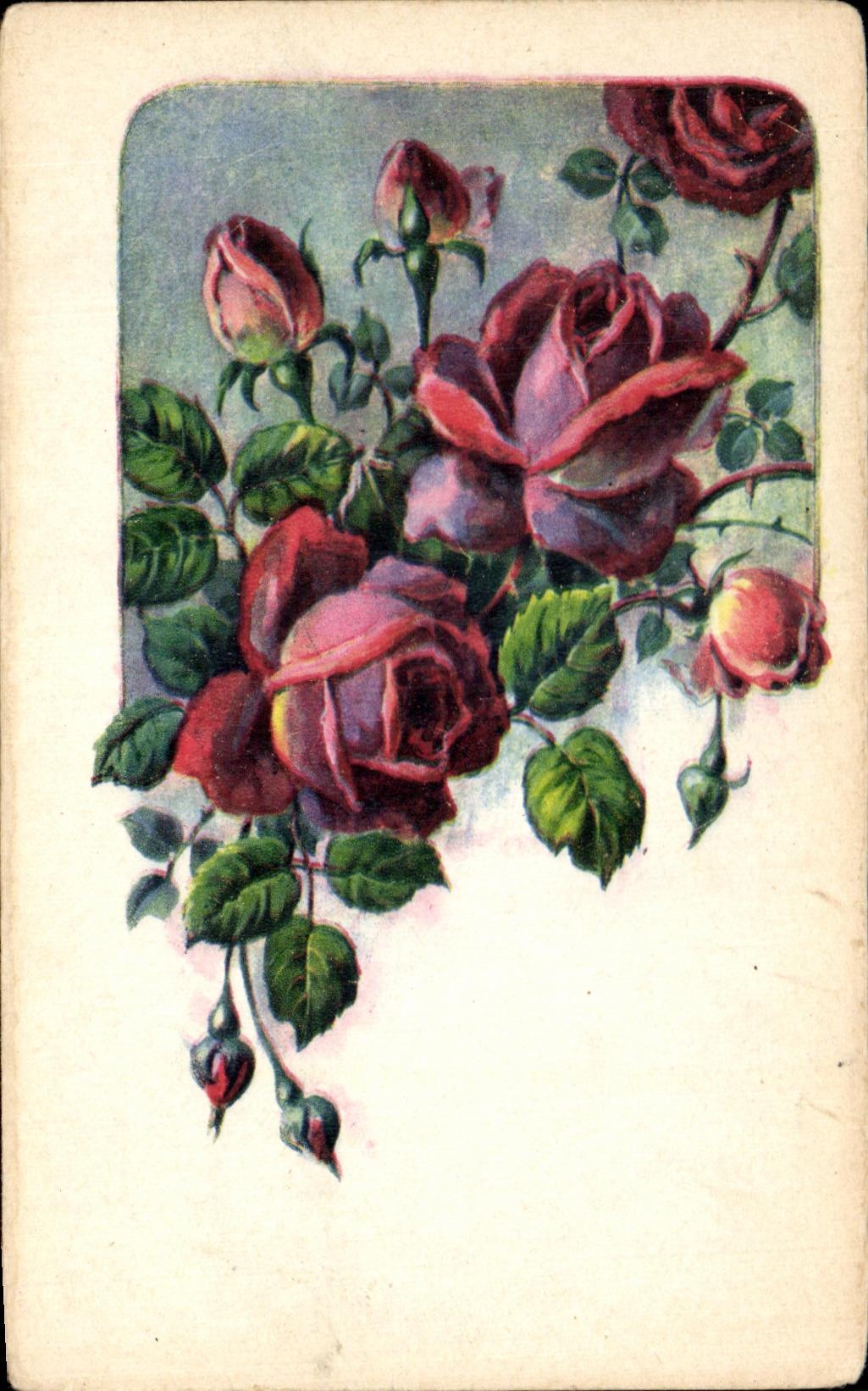 La fantasia de CPA florece rosas