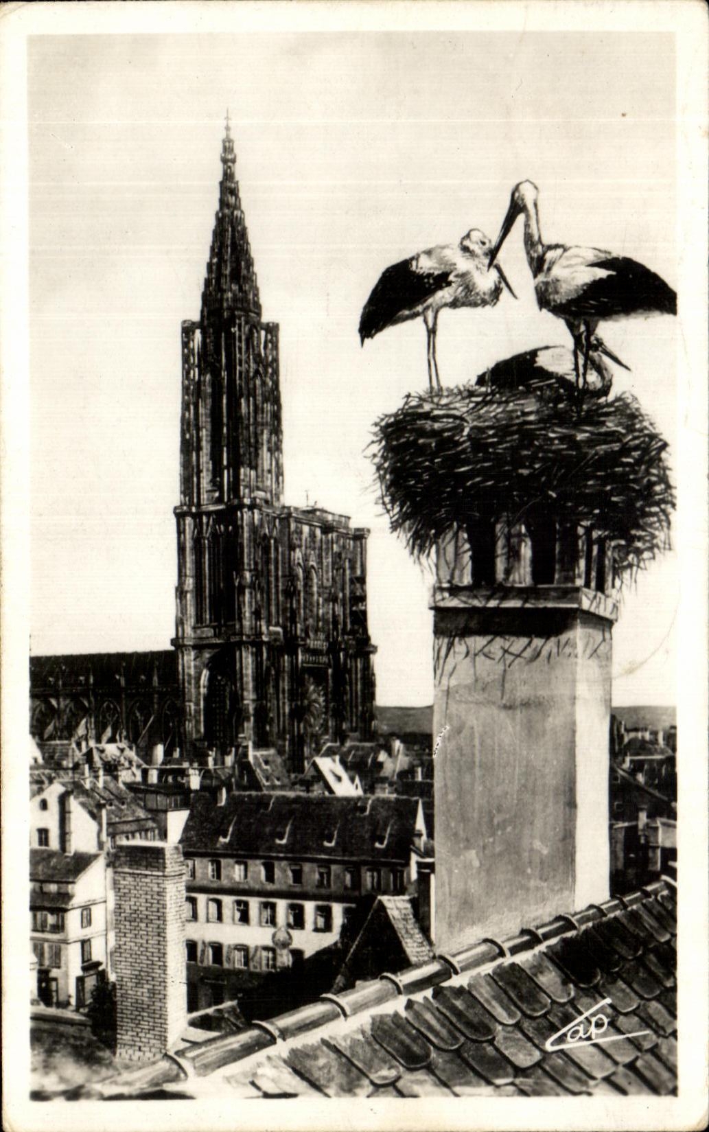 CPA Strasbourg Storks