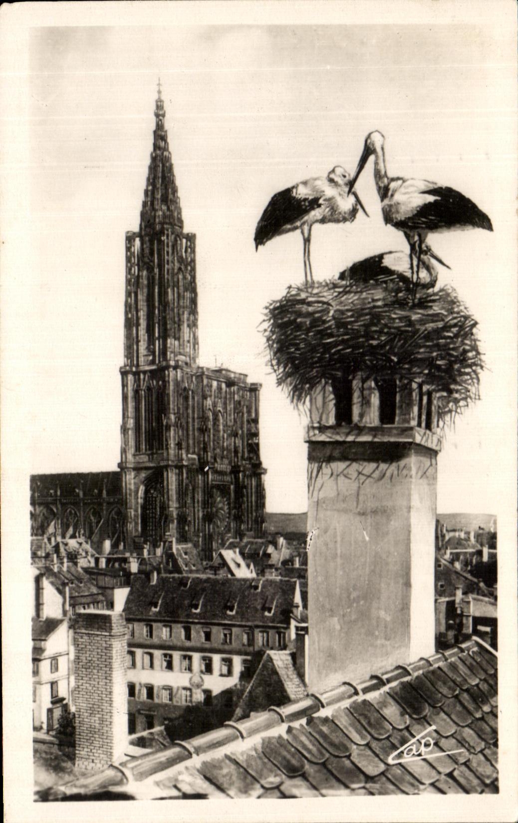 CPA Strasbourg Storks