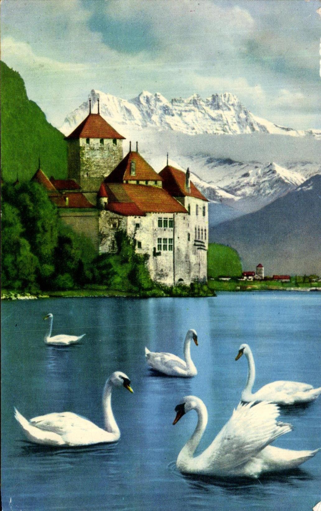 CPSM Lac Leman Chateau de Chillon et dents du midi Cygnes 