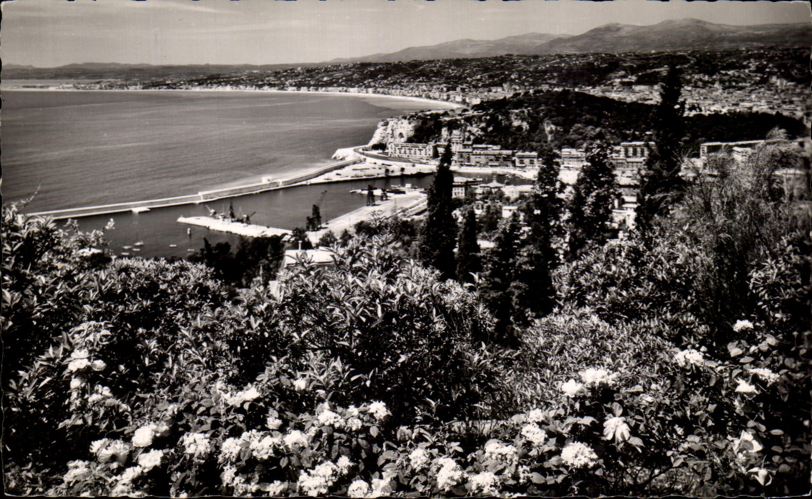 CPSM la dimension de la vision azul