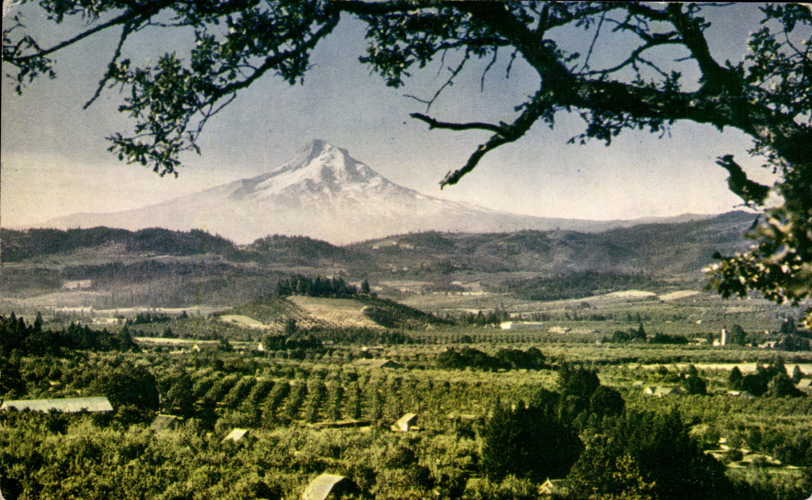 CPA Hood to rivet Valleay Oregon