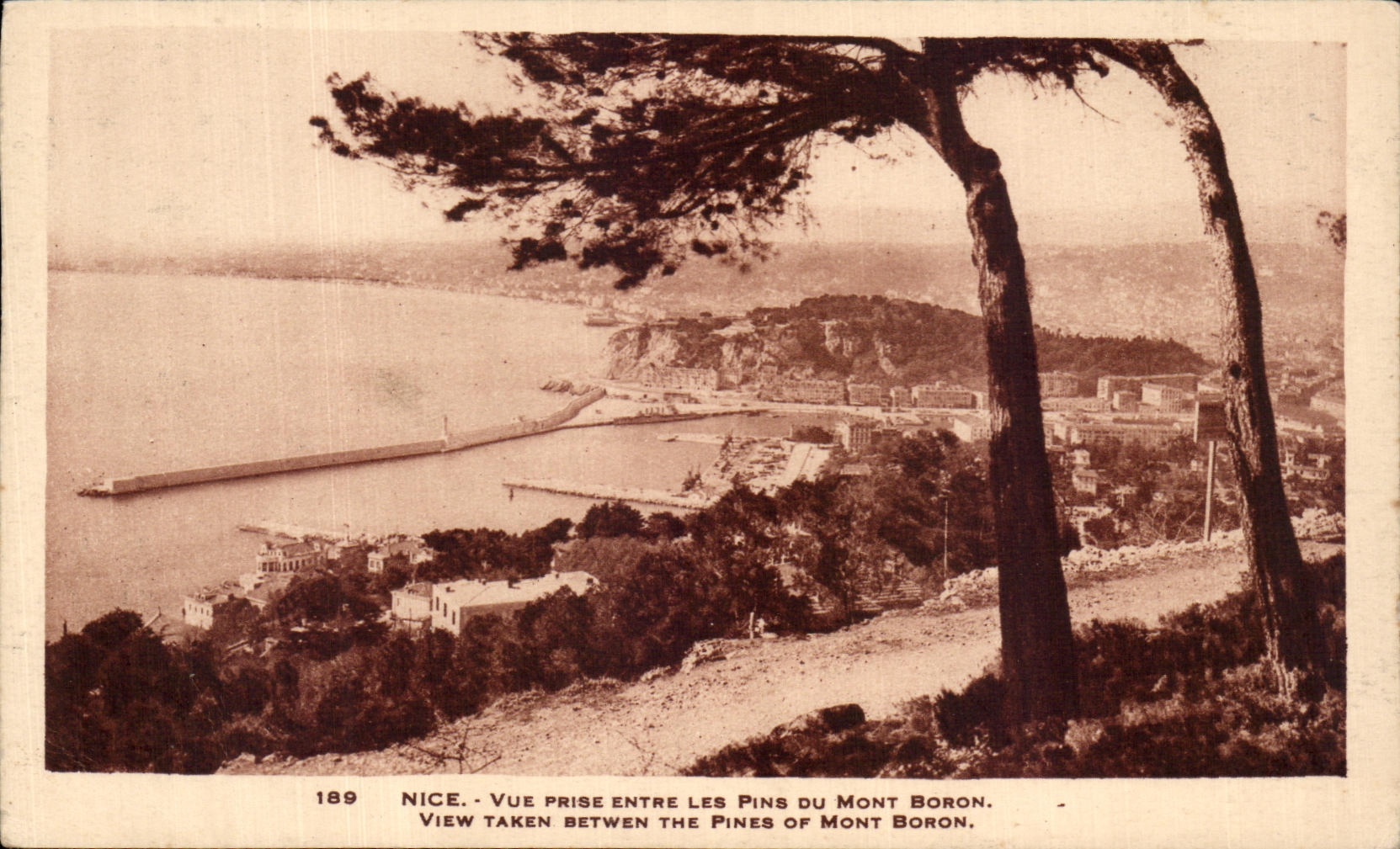 Niza de CPA vista entre de los pinos del montaje del boro