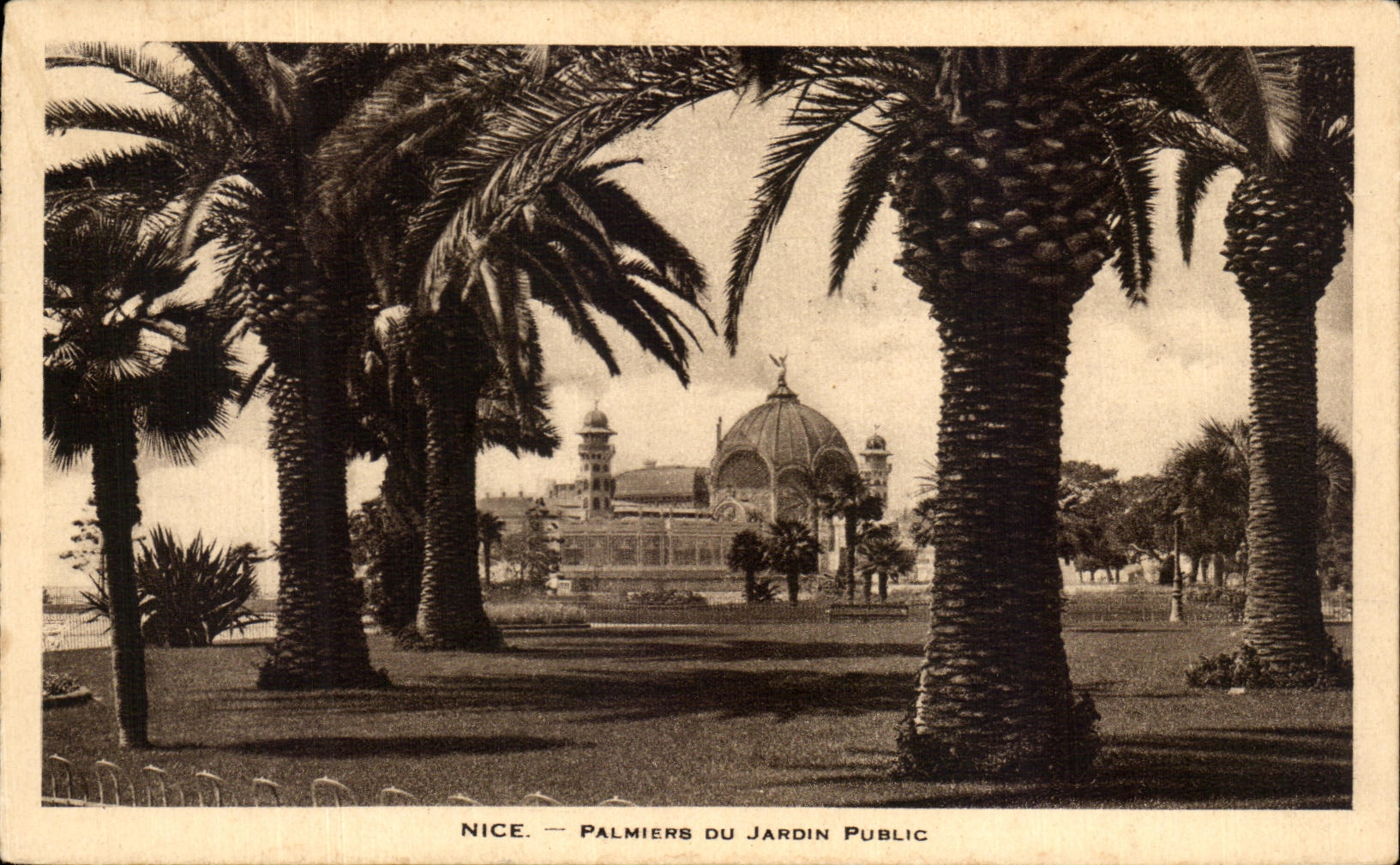 Palmeras de CPA Niza del jardin publico