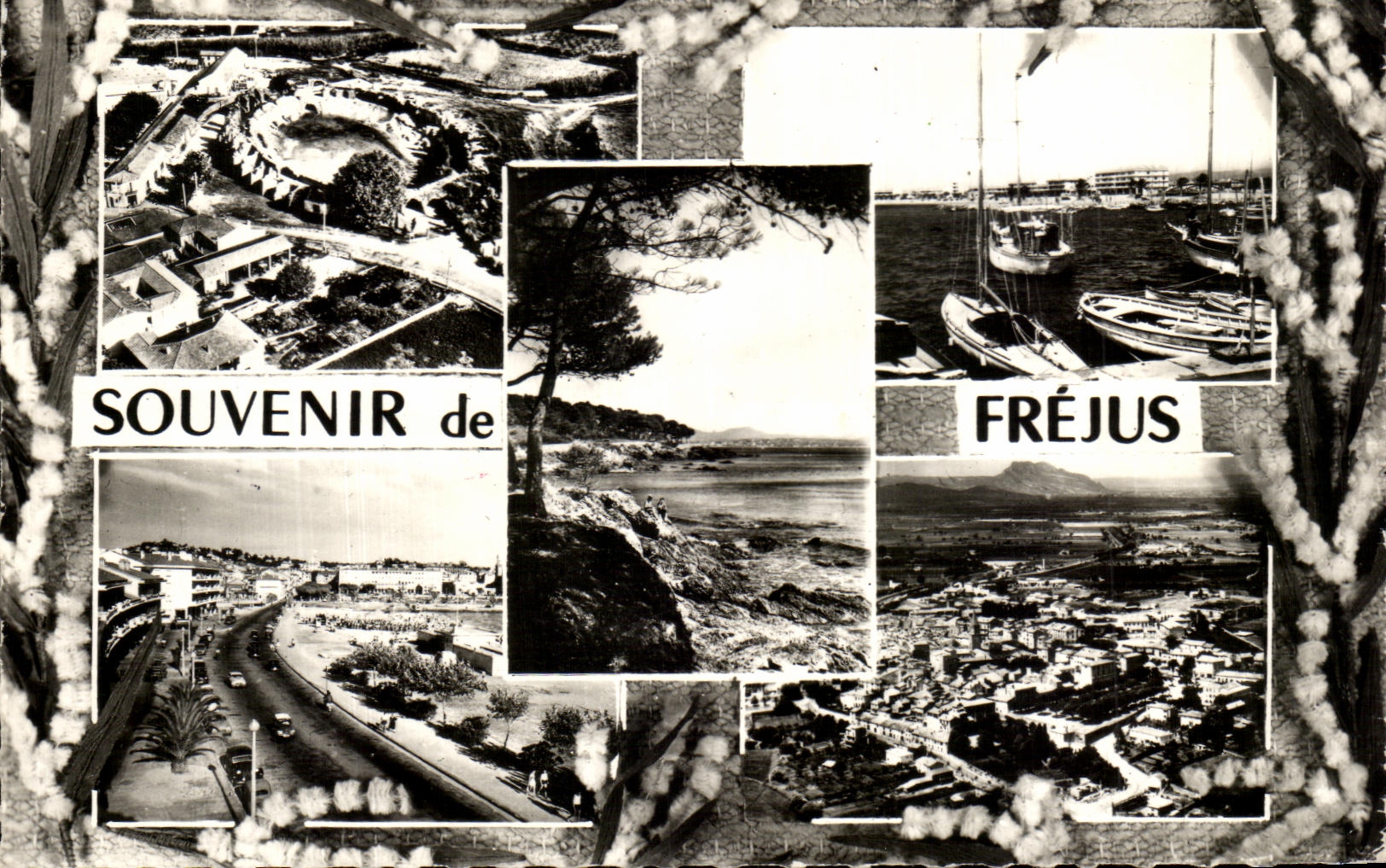 CPA Souvenir of Frejus
