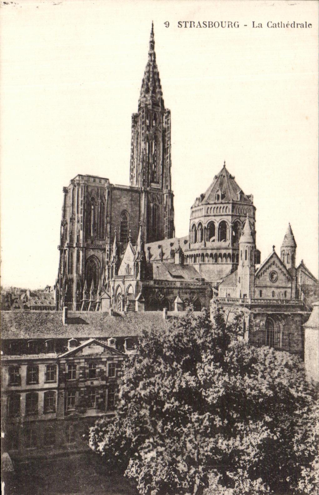 CPA Strasbours the Cathedral