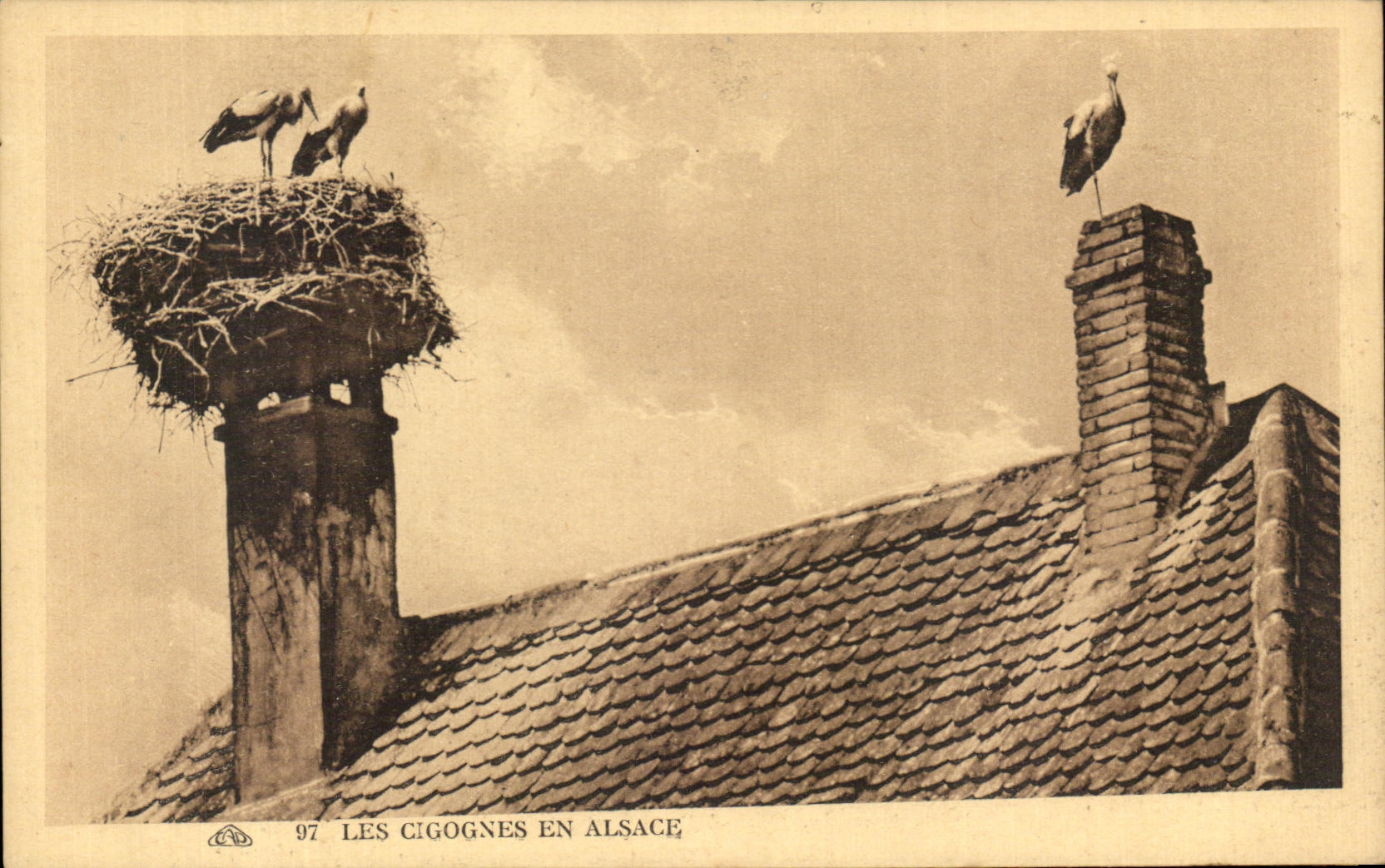 CPA Storks In Alsace