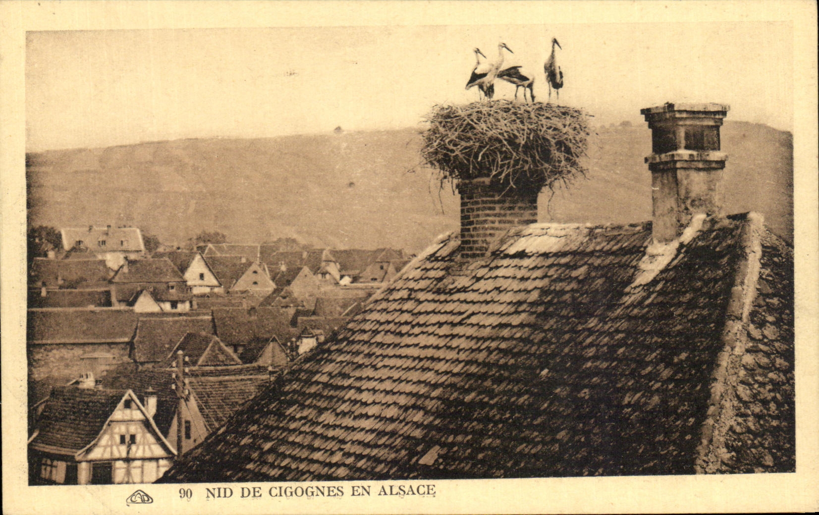 CPA Nid De Storks In Alsace