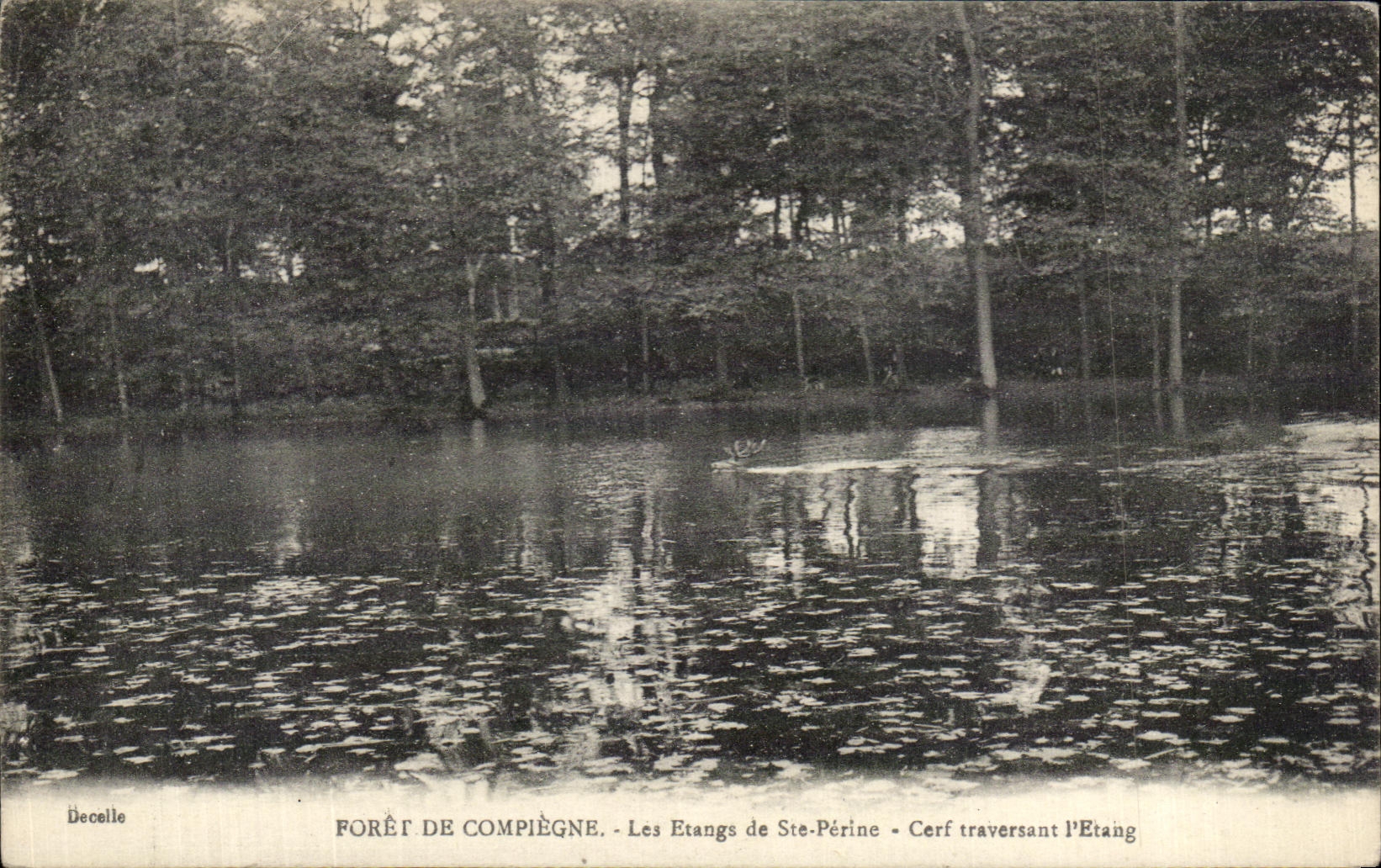 CPA Foret De Compiegne Etangs De co Macho de Perine que cruza la charca
