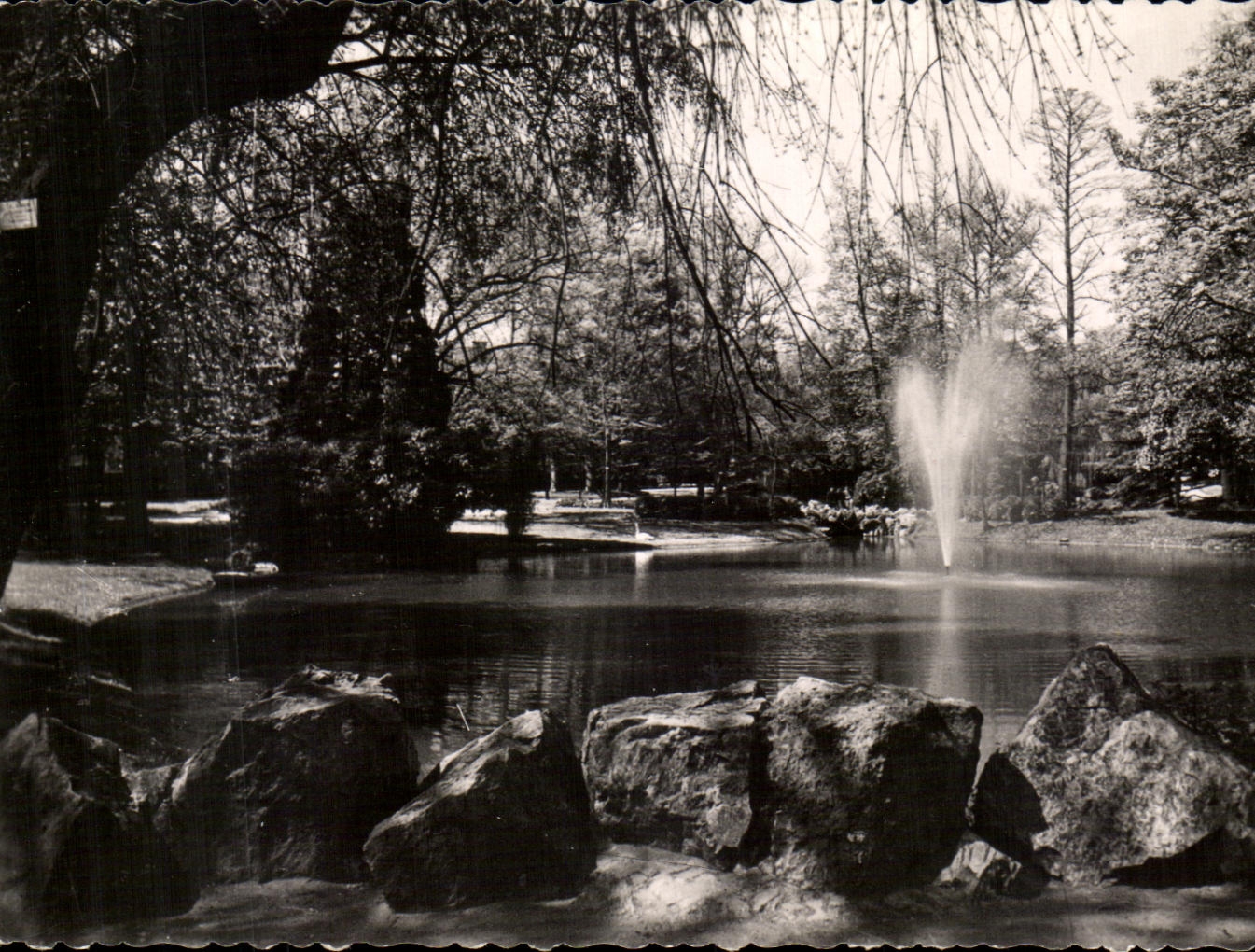 CPSM Nantes Le Jardin des Plantes
