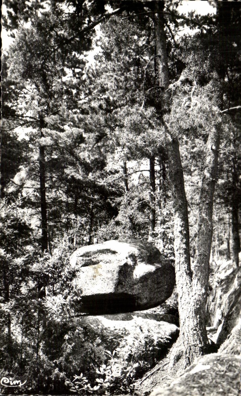 CPSM Noiretable Pierre Shaking