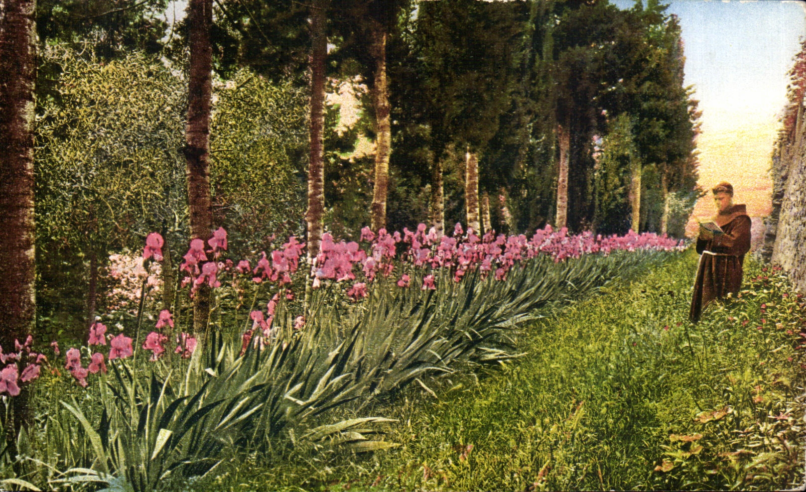 CPA Fiesole Giardino del Convento di Francescani