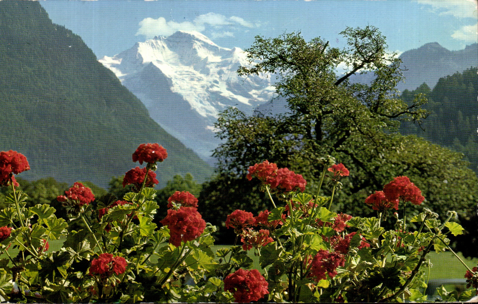 CPSM Interlaken Jungfrau