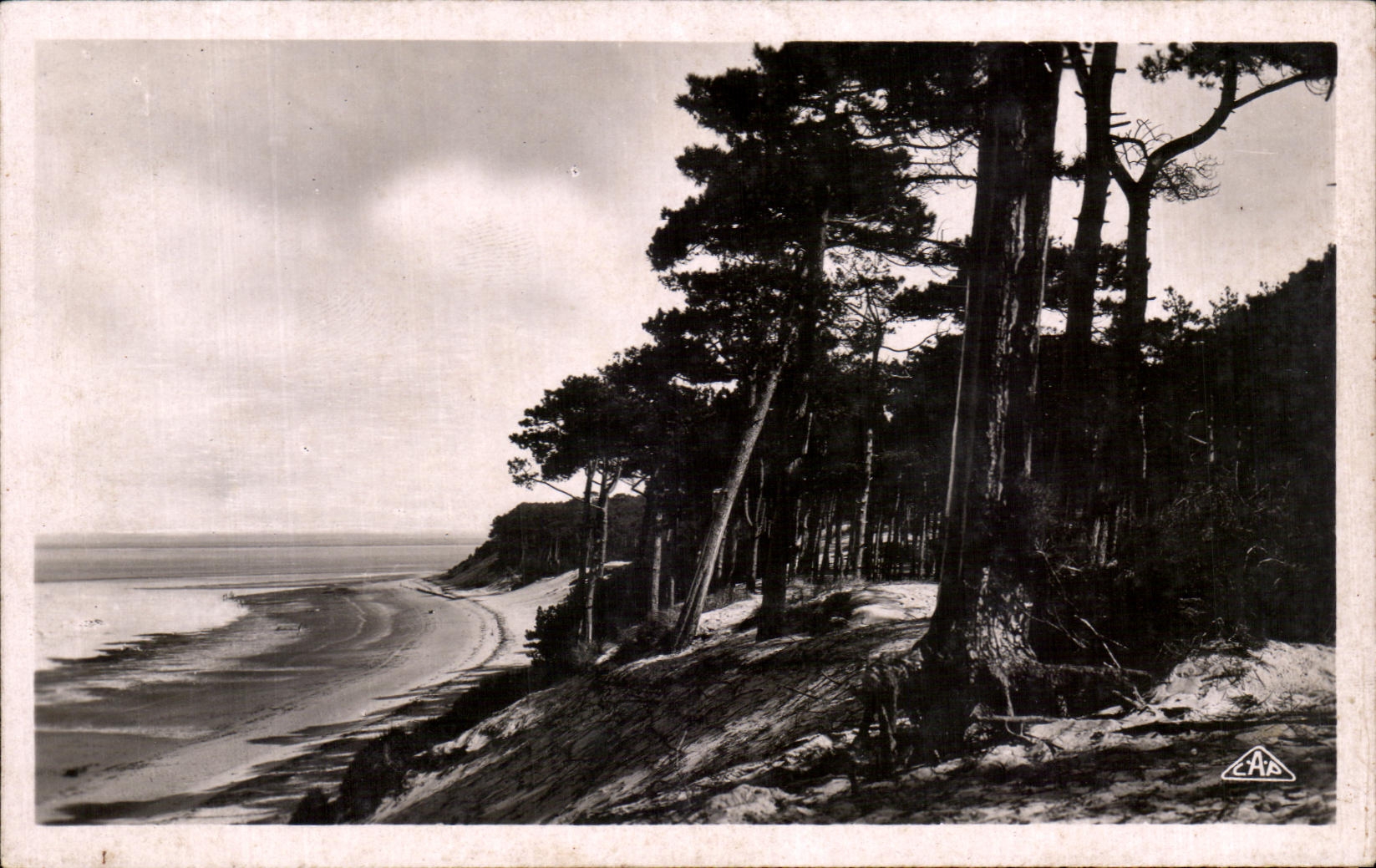 CPSM Arcachon Cote d'Argent Plage des Abatilles