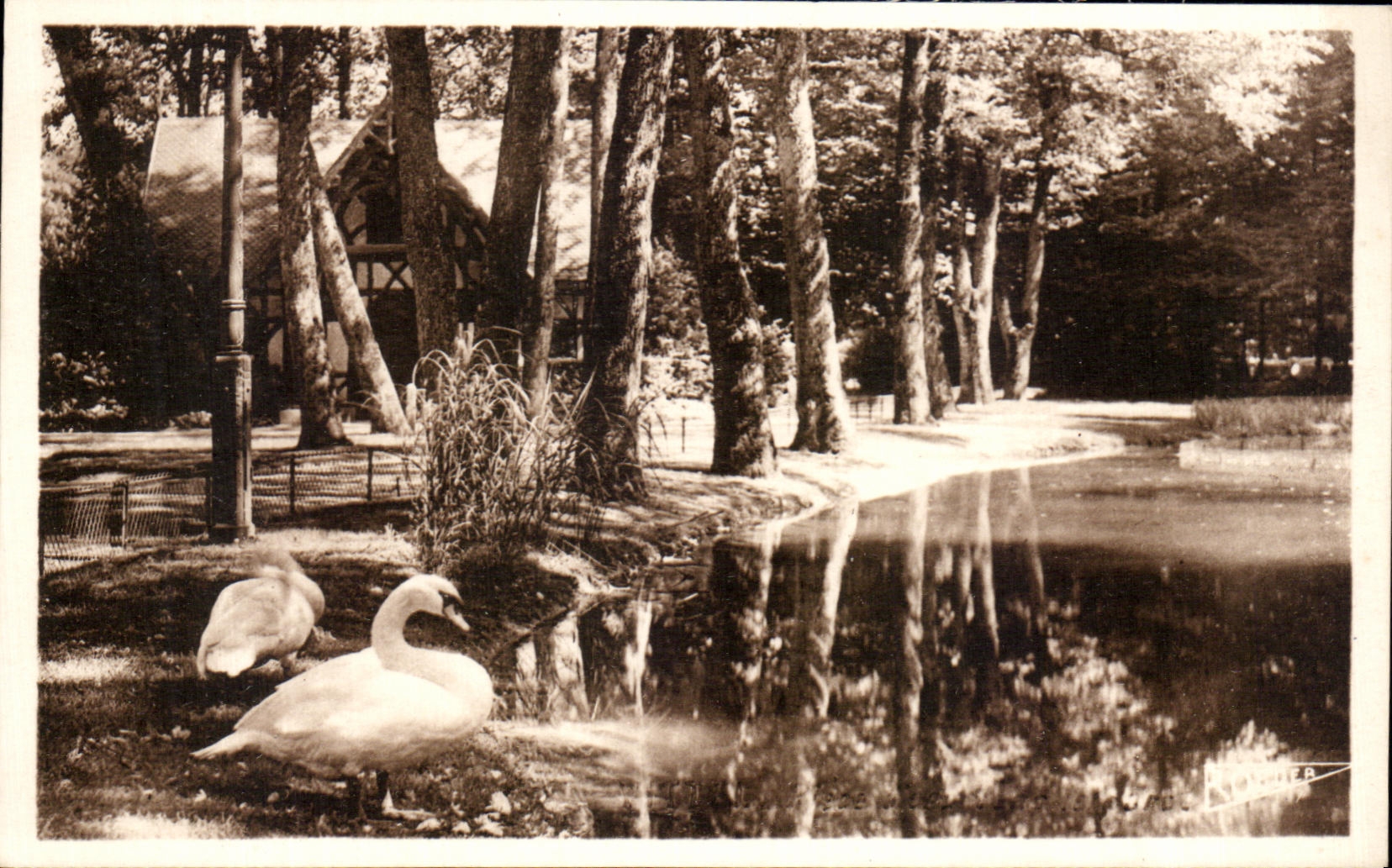 CPA Vittel Piece D'Eau Dans Le Parc Cygne 