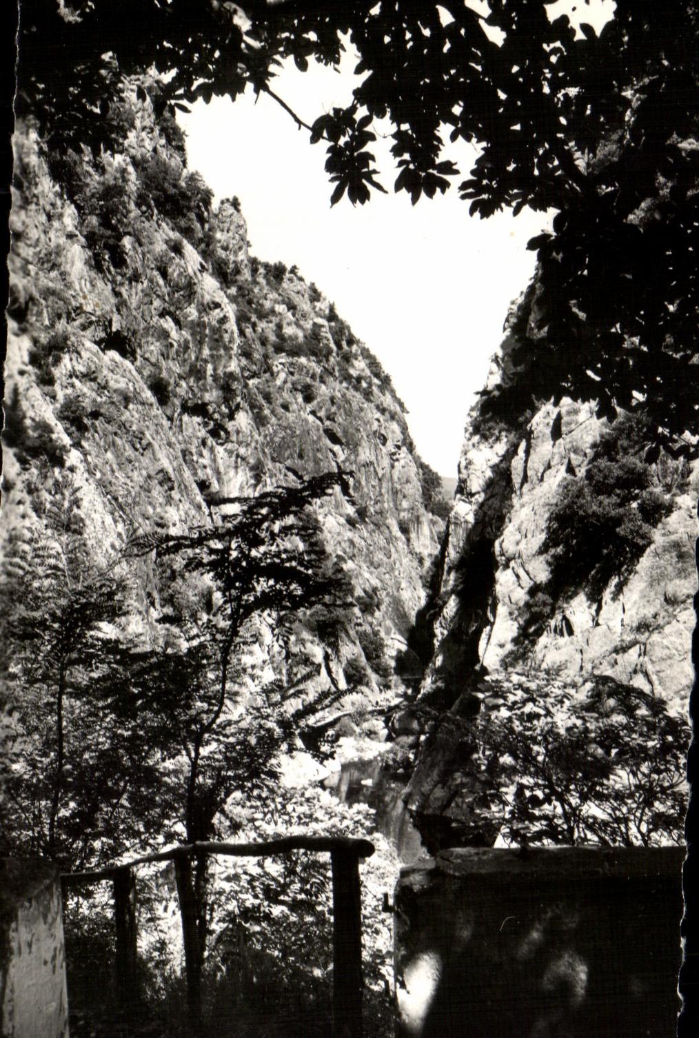 CPA Amelie Les Bains Pearl Of the Pyrenees Falls Of Mondony