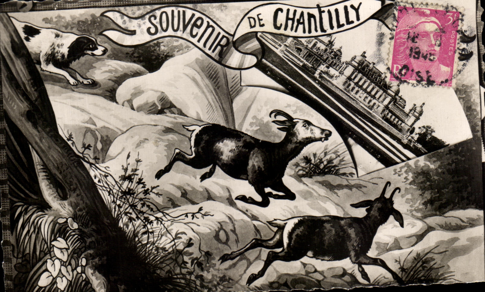 CPA Souvenir Of Chantilly Drives out Hinds Dog