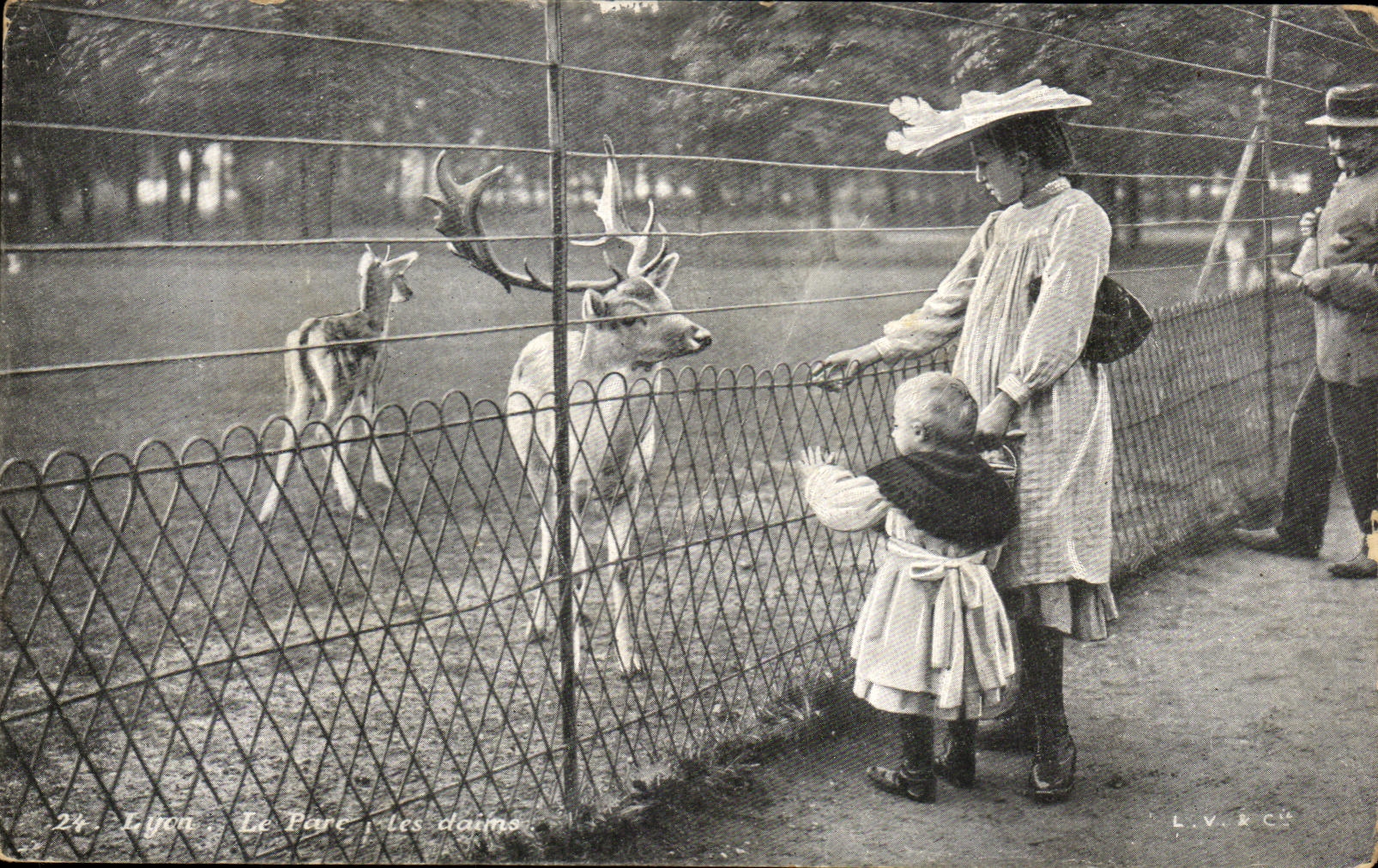 CPA Lyon Park of the TV of Gold Hind and children