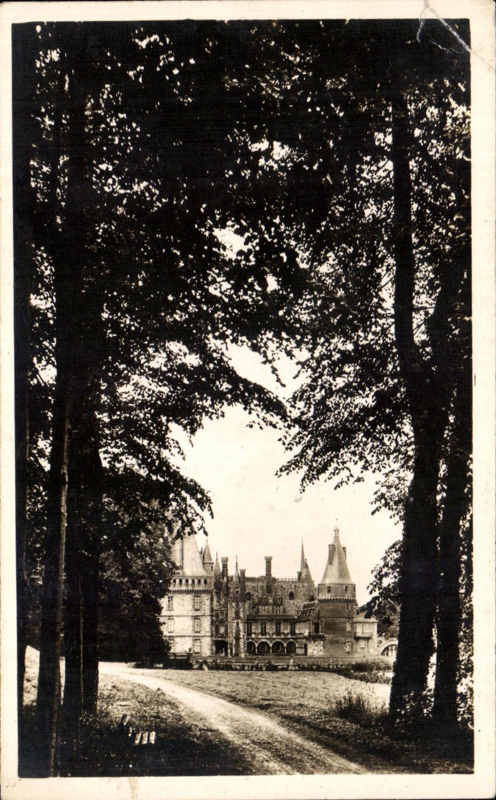 CPA Castle of Maintenon Seen from of Allee the Root