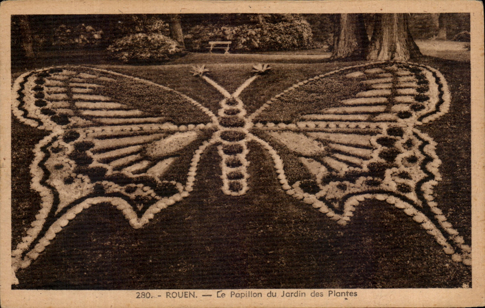 CPA Rouen the Butterfly of the Botanical garden