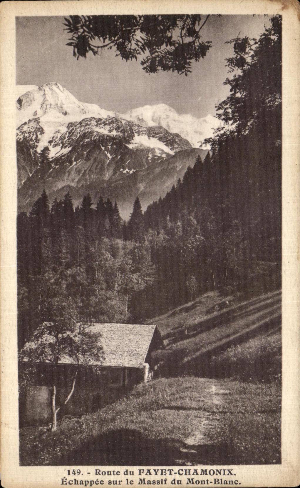 CPA Road Of Fayet Chamonix Escaped on Mountain from the Mount Blanc