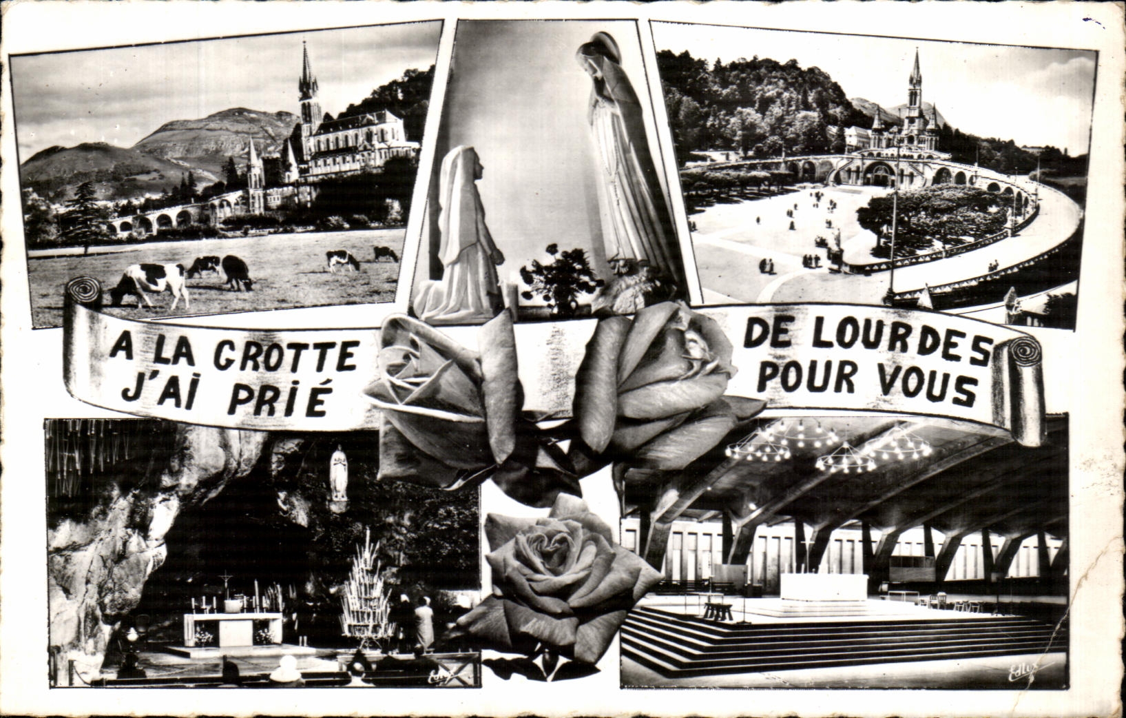 CPA With Droppings I Have Request Lourdes For You