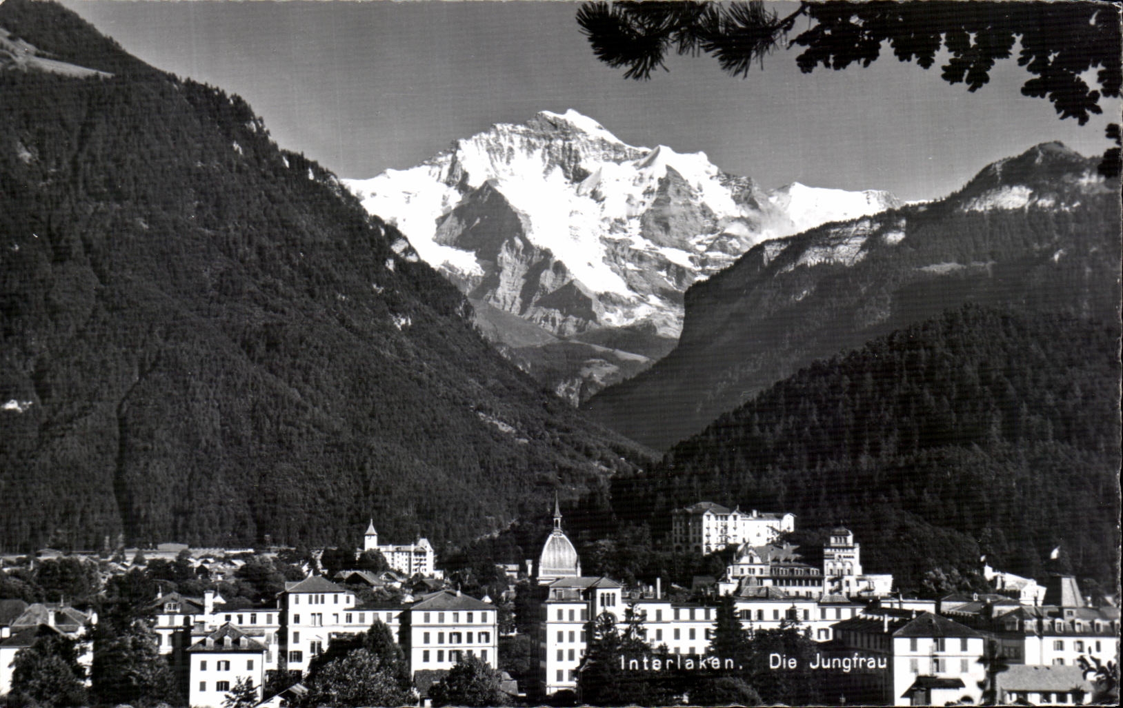 CPA Interlaken Die Jungfrau