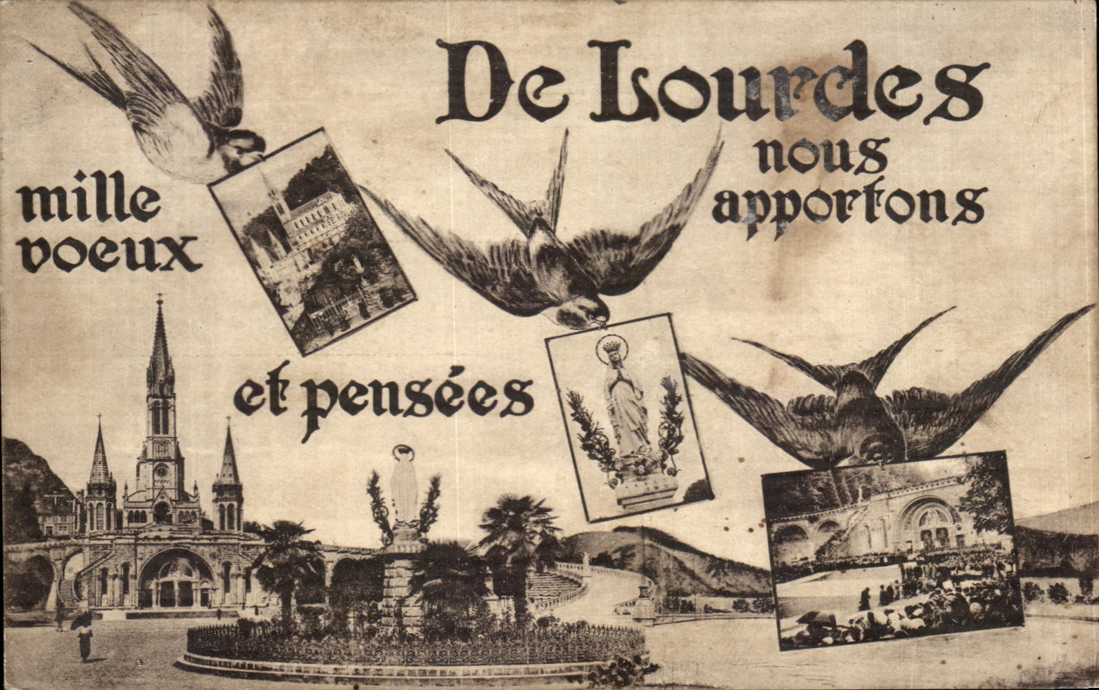 CPA Of Lourdes we bring Hirondelles