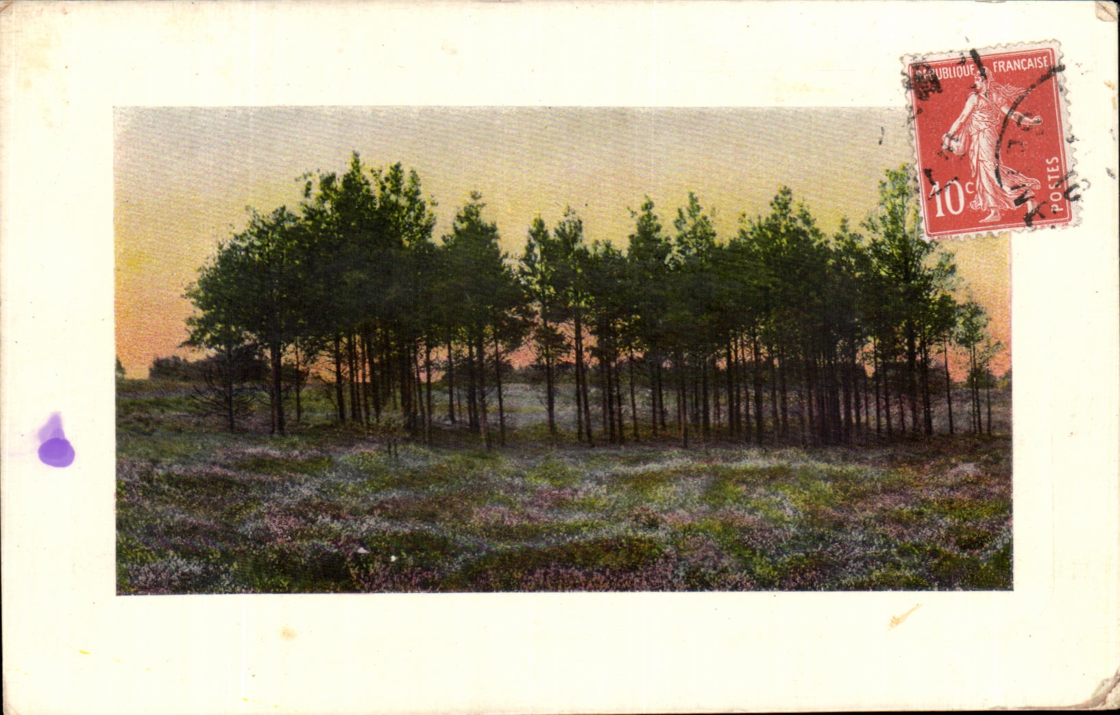 Taladro de la fantasia de CPA de arboles