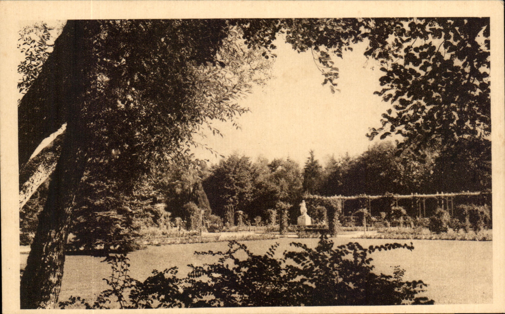 CPA Vittel Detoxication Great Source For the Kidneys Hepar Source for the Liver